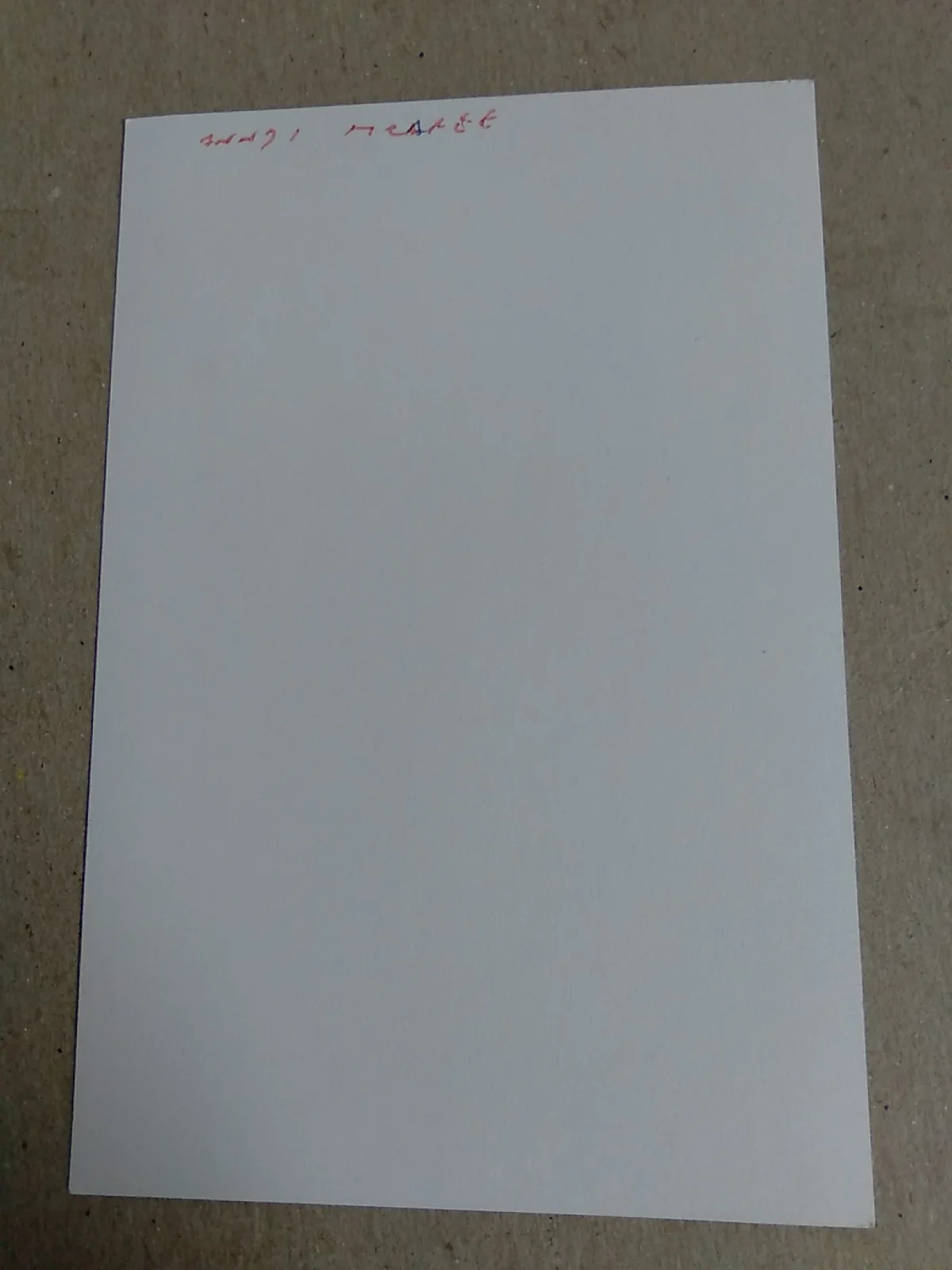 Anndi McAfee Signed Autograph 6x4in Photo, image 3
