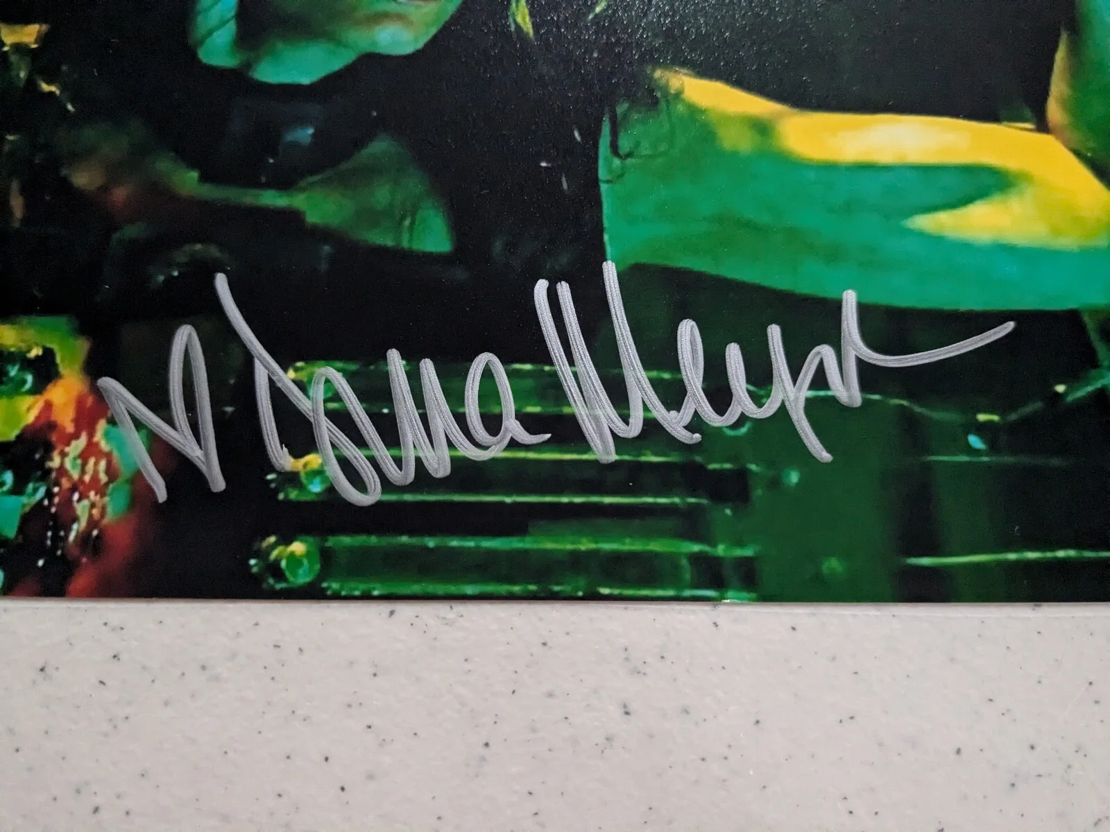 DINA MEYER Signed Saw 8x10 PHOTO Detective Allison Kerry Autograph JSA COA, image 2