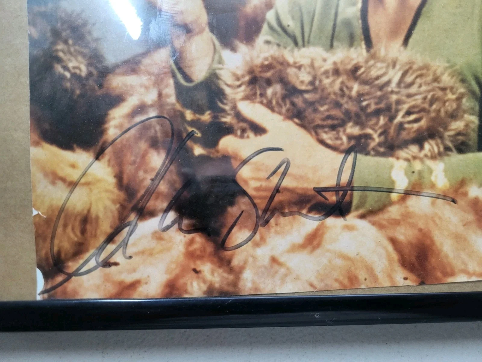 William Shatner Signed Small Photo Star Trek T J Hooker VG Shape Free Shipping, image 2