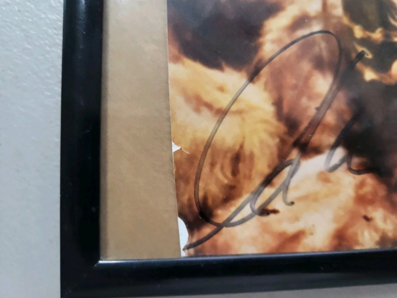William Shatner Signed Small Photo Star Trek T J Hooker VG Shape Free Shipping, image 3