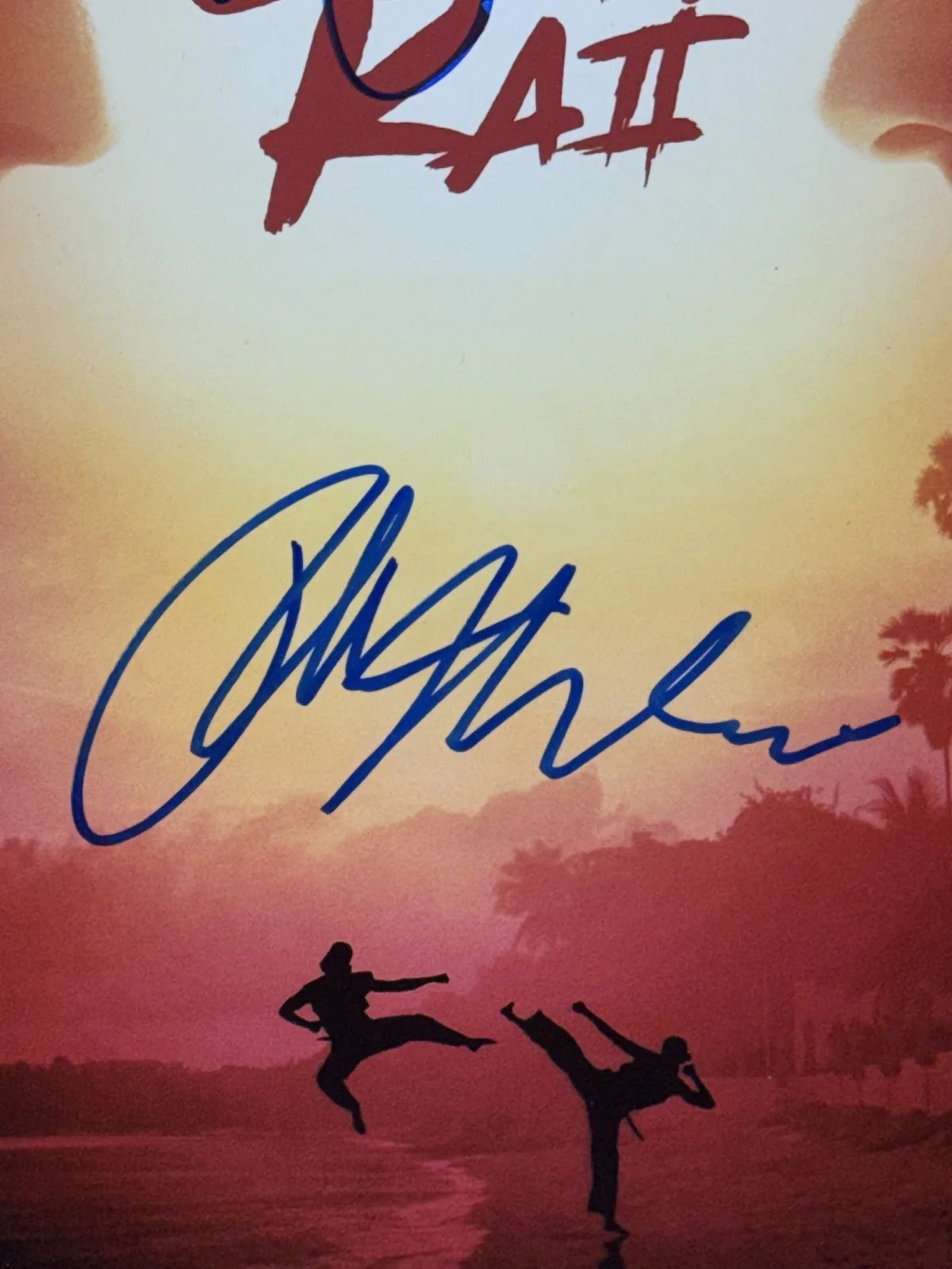 Ralph Macchio, William Zabka — Ralph Macchio William Zabka Signed 11x14 Framed Cobra Kai Photo Auto JSA COA, изображение 4