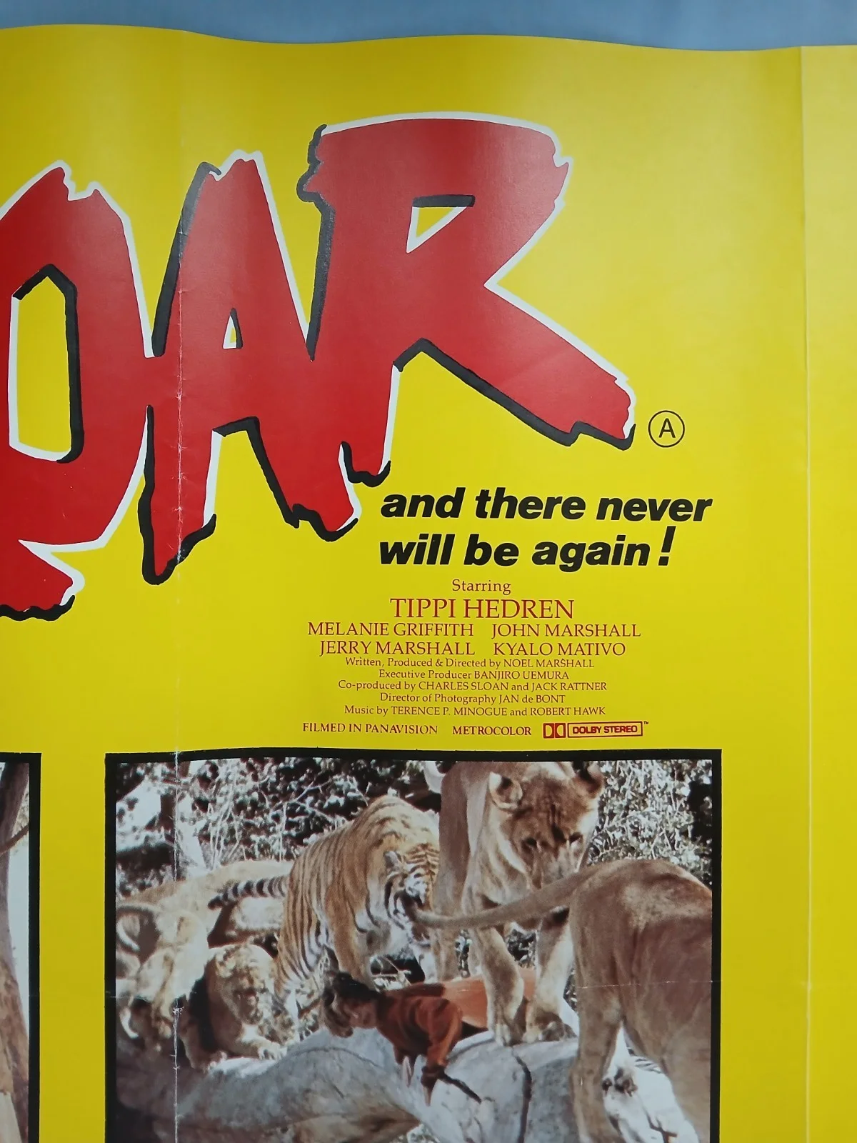 ROAR (1981) rare original UK quad poster - Tippi Hedren, Melanie Griffith, изображение 3