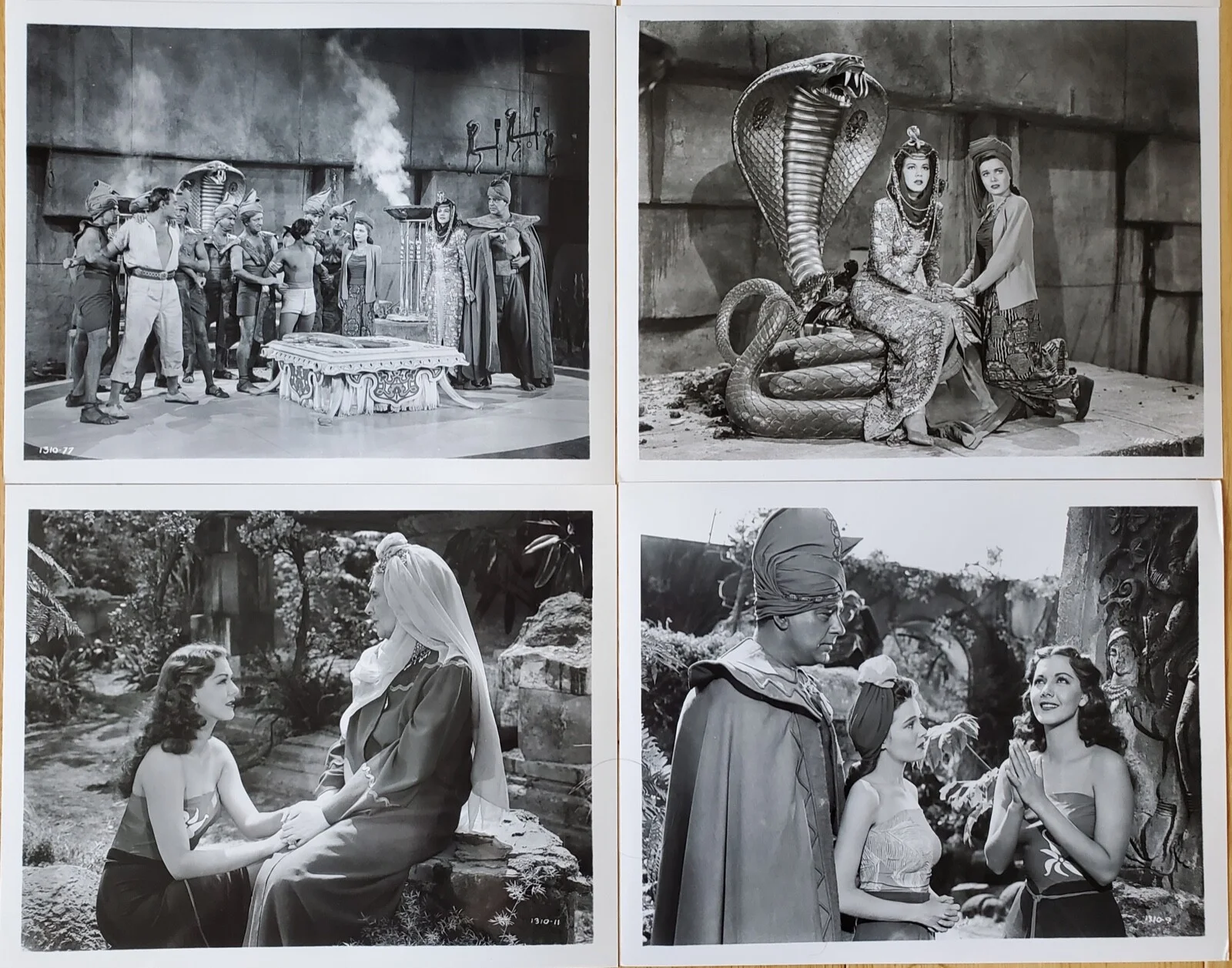 COBRA WOMAN - SET OF 8 VINTAGE 10"x8" PRESS PHOTOGRAPHS - MARIA MONTEZ, SABU - B, изображение 3