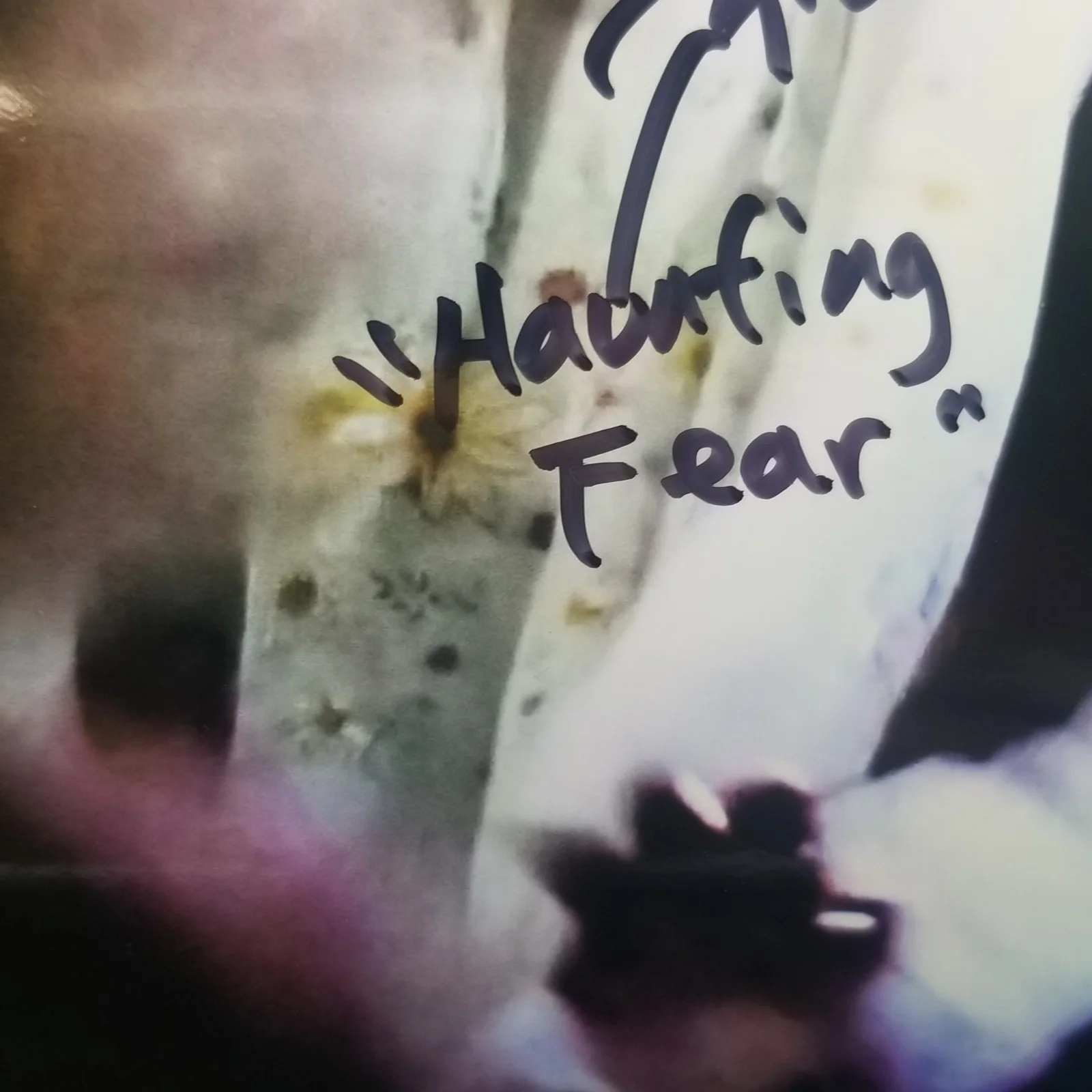 Brinke Stevens Hand Signed Promo Photo 8x10 Haunting Fear, image 3
