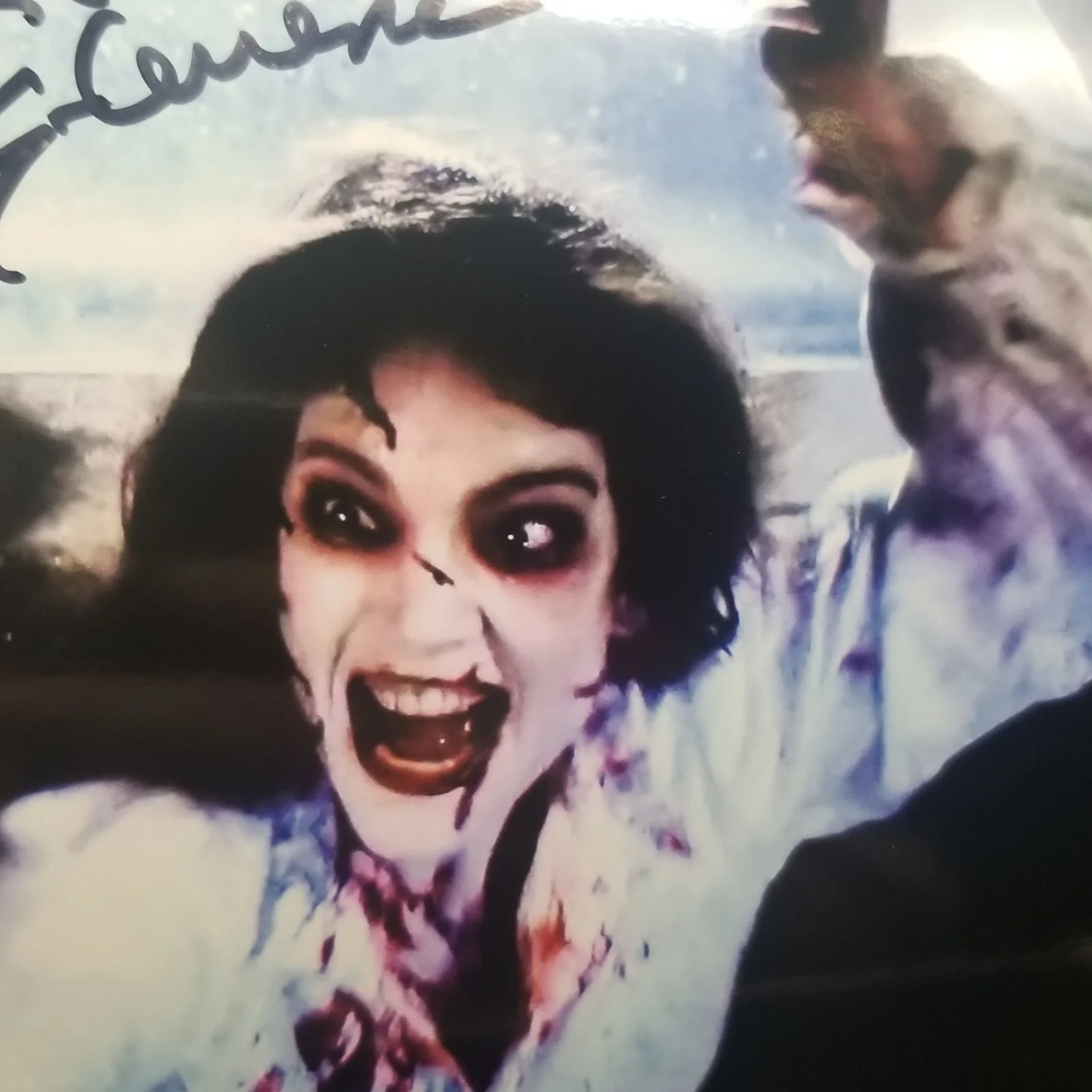 Brinke Stevens Hand Signed Promo Photo 8x10 Haunting Fear, image 4
