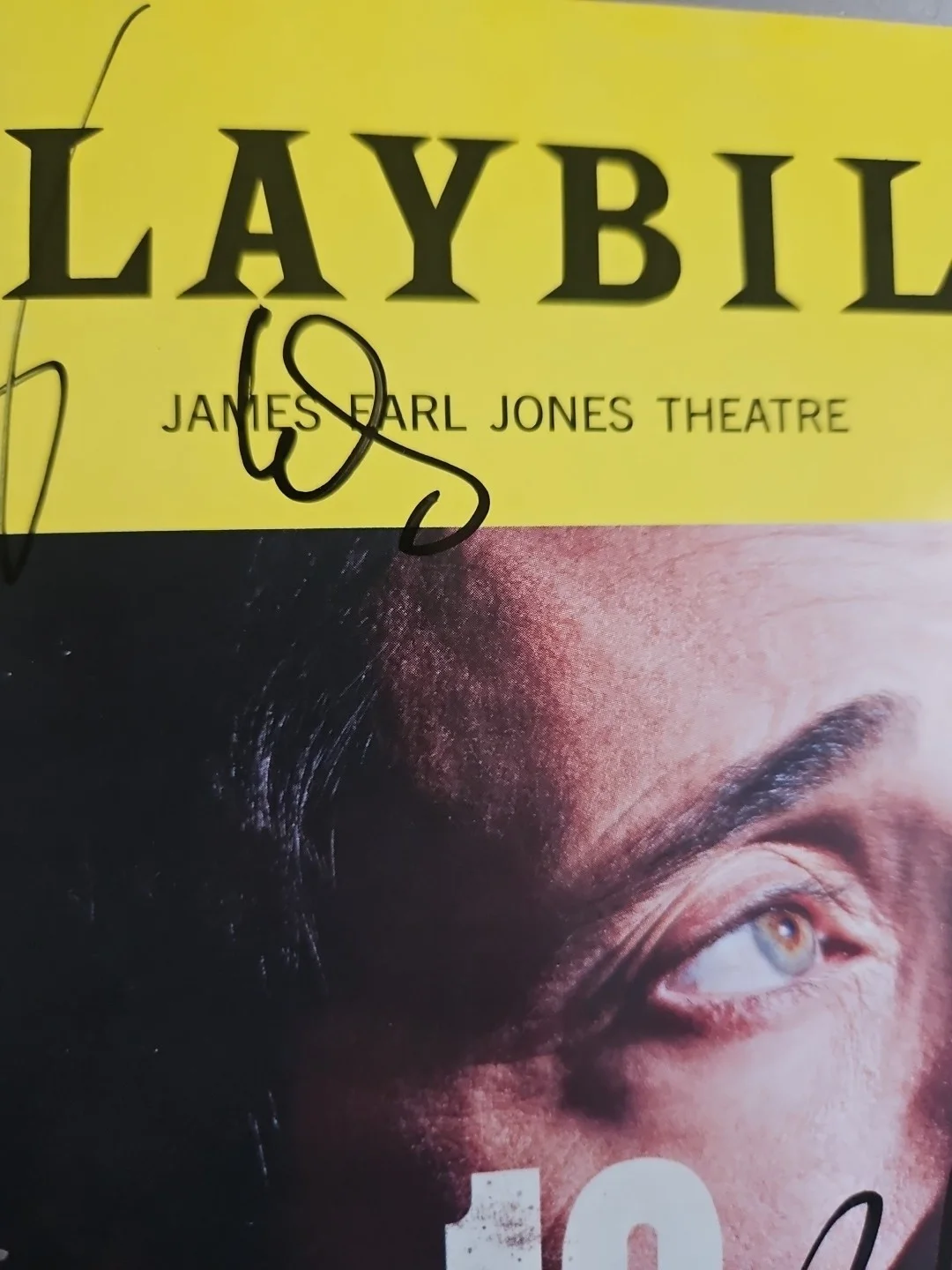 Tessa Thompson, Cast — The Fear Of 13 Signed Playbill - Tessa Thompson - 5 Signatures ², изображение 3