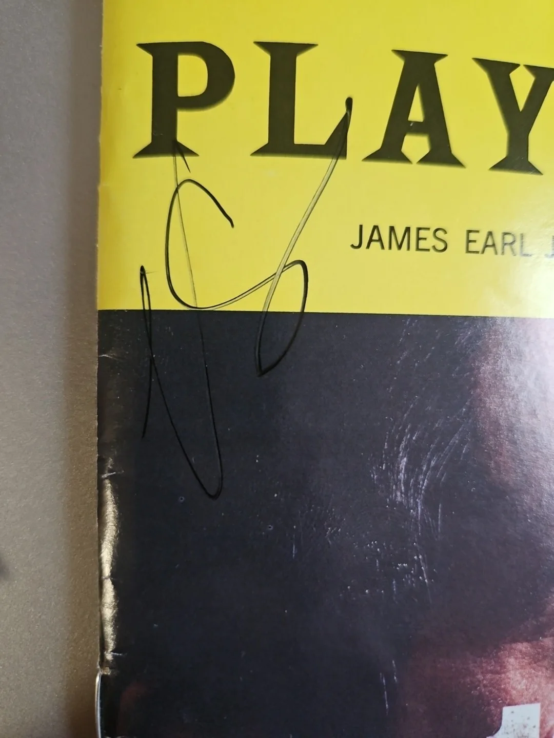 Tessa Thompson, Cast — The Fear Of 13 Signed Playbill - Tessa Thompson - 5 Signatures ¹, изображение 2