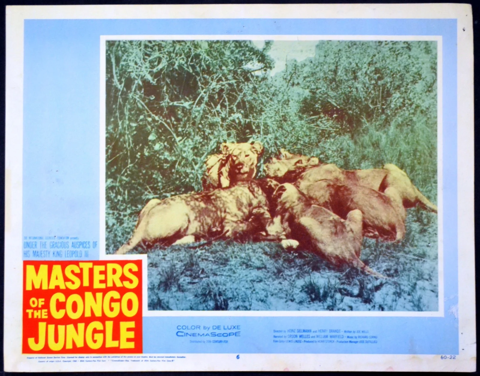MASTERS OF THE CONGO JUNGLE 1958 Henry Brandt Heinz Sielmann 7 LOBBY CARDS, изображение 5