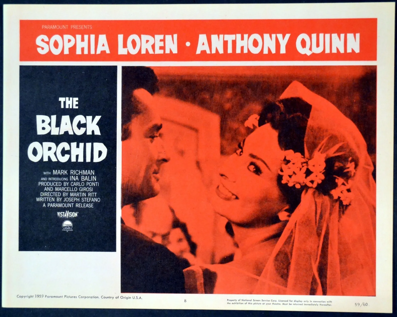 BLACK ORCHID 1958 Sophia Loren, Anthony Quinn 3 LOBBY CARDS, image 2