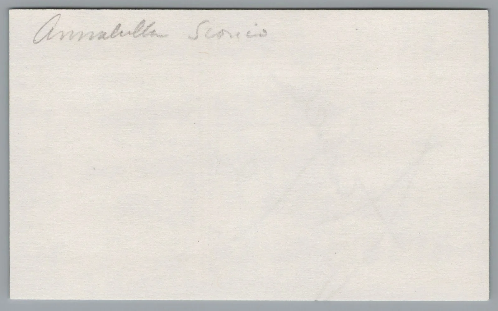 Annabella Sciorra — Annabella Sciorra Signed 3x5 Index Card Tulsa King Autographed, изображение 2