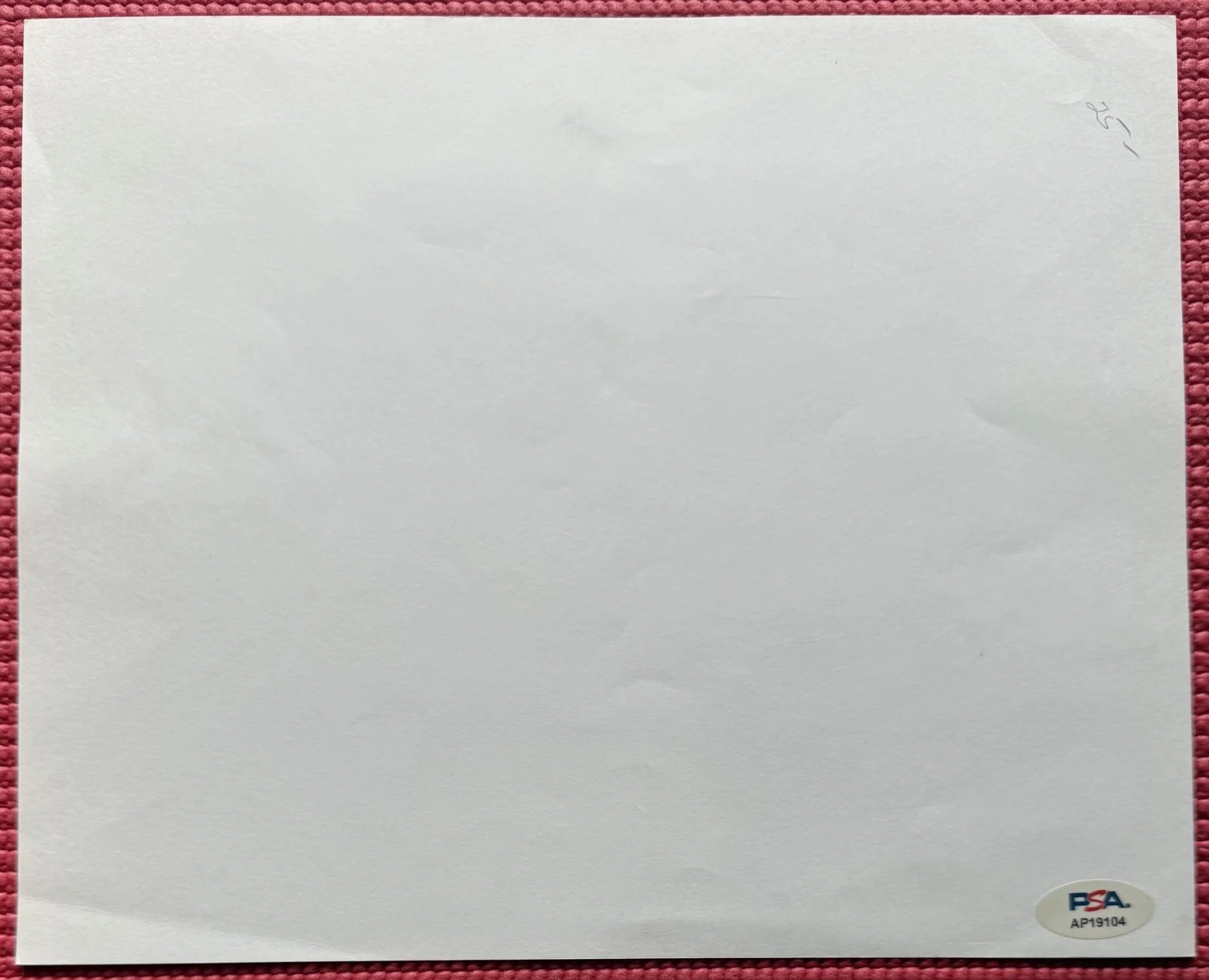 Caroll Borland — PSA/DNA autographed CAROLL BORLAND signed 10"x 8" Photo "MARK OF THE VAMPIRE", изображение 3