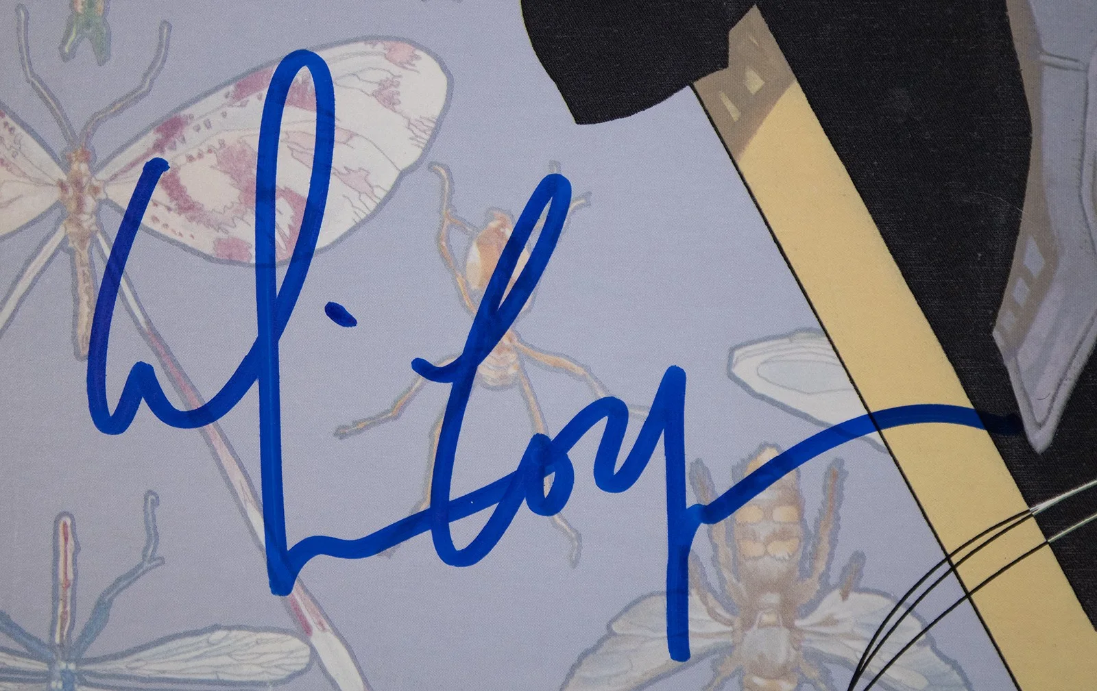 Alice Cooper — ALICE COOPER - RECORD ALBUM COVER SIGNED, image 2