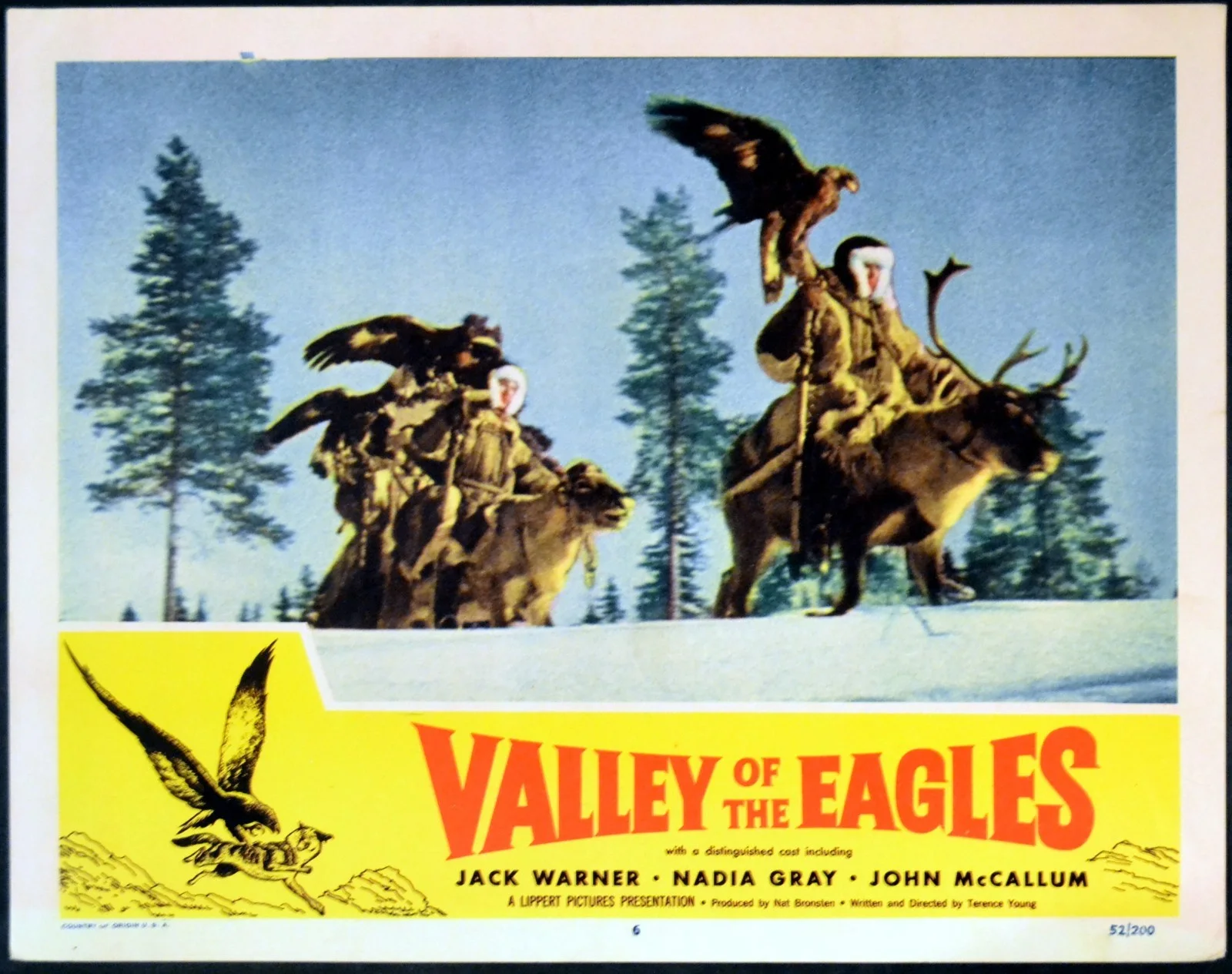 VALLEY OF EAGLES 1951 Jack Warner, John McCallum, Nadia Gray 6 LOBBY CARDS, image 4