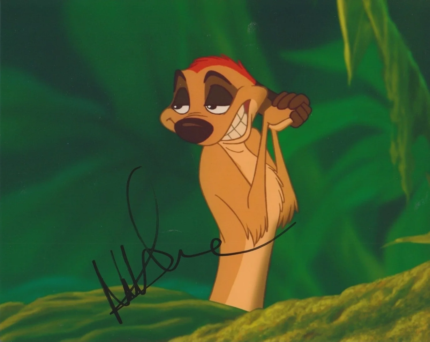 Nathan Lane — Nathan Lane signed The Lion King Timon 8x10 photo