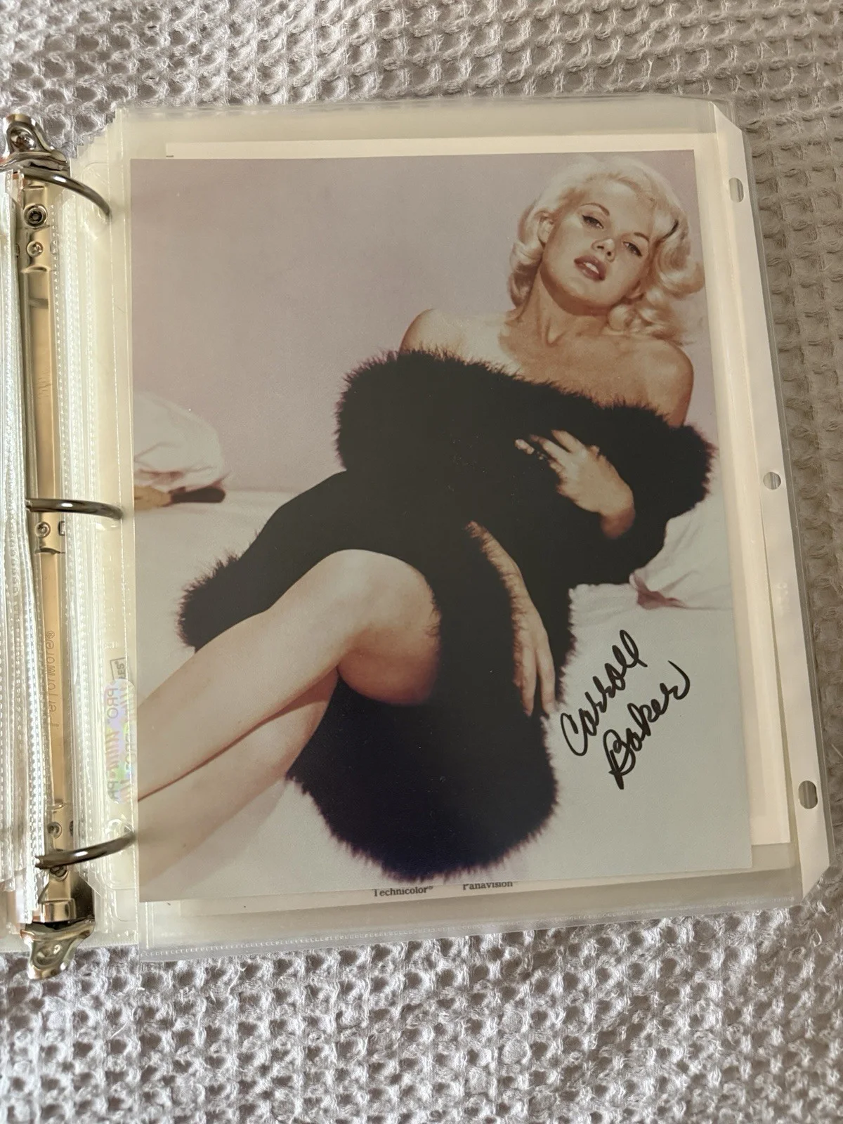 carroll baker — Carroll Baker Actress Hand Signed Autograph 8x10 Photo with UACC COA