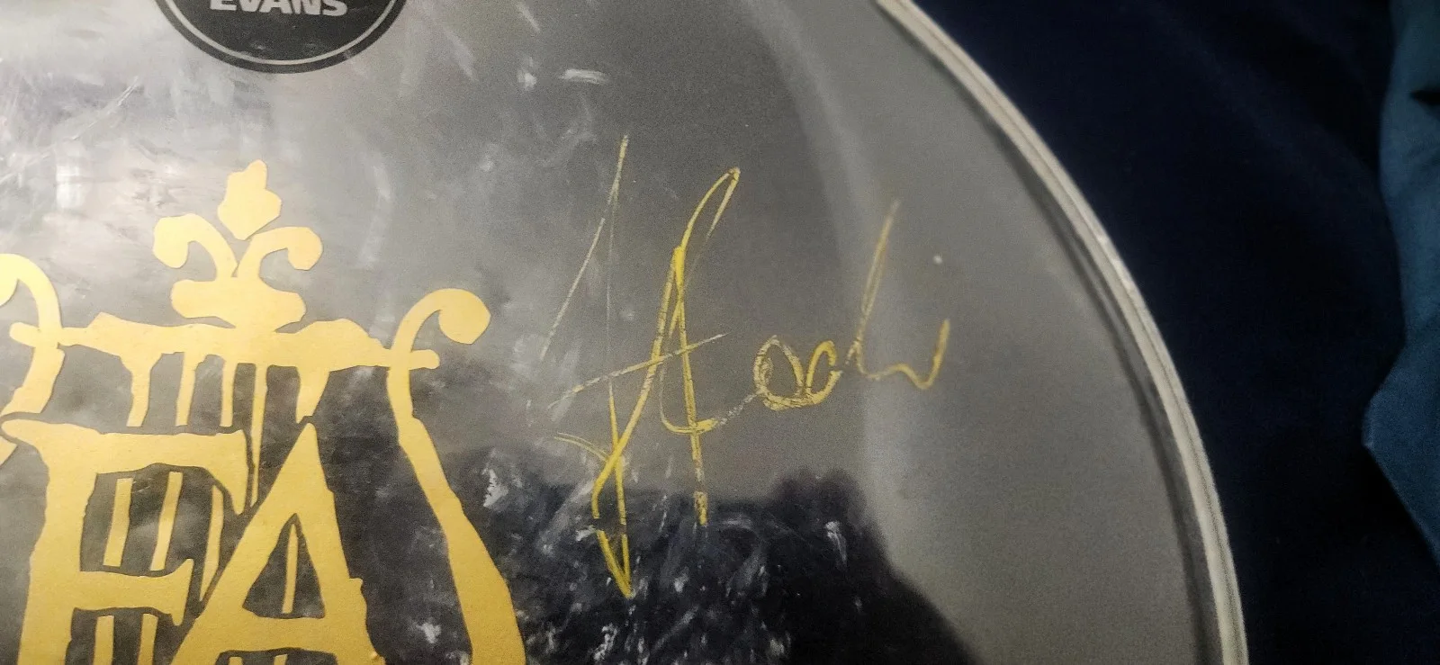 Fleshgod Apocalypse Drumhead Signed by Band Eugene Ryabchenko Archspire Slayer, image 4