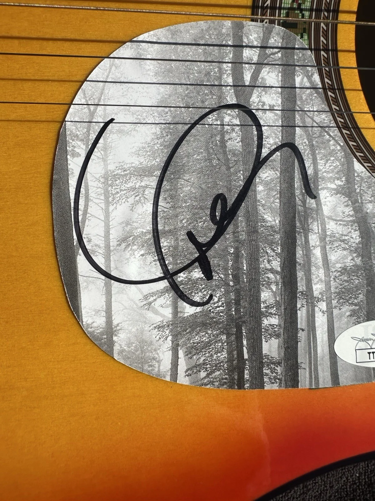 🚨TAYLOR SWIFT Signed FULL SIZE Acoustic Guitar Country Red Orange JSA CERT 🎁❤️, изображение 5