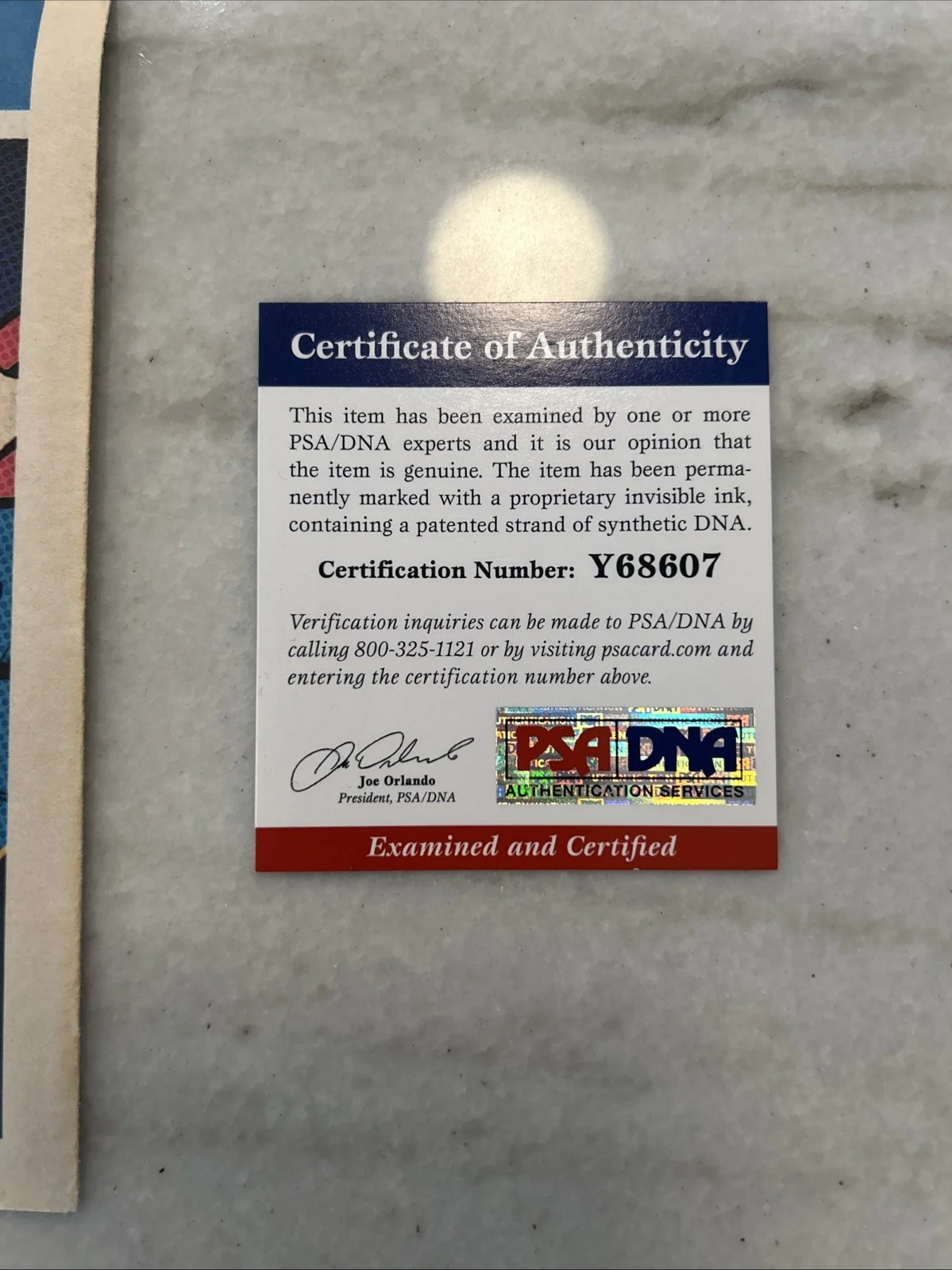 BRANDON ROUTH Signed AUTOGRAPH Superman Returns Daily Planet News Paper Psa, image 5