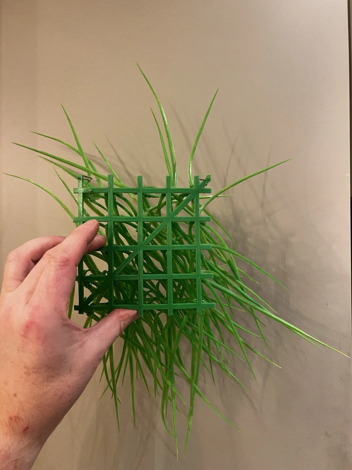 Prop Grass From The 2005 Film Charlie & The Chocolate Factory, изображение 2