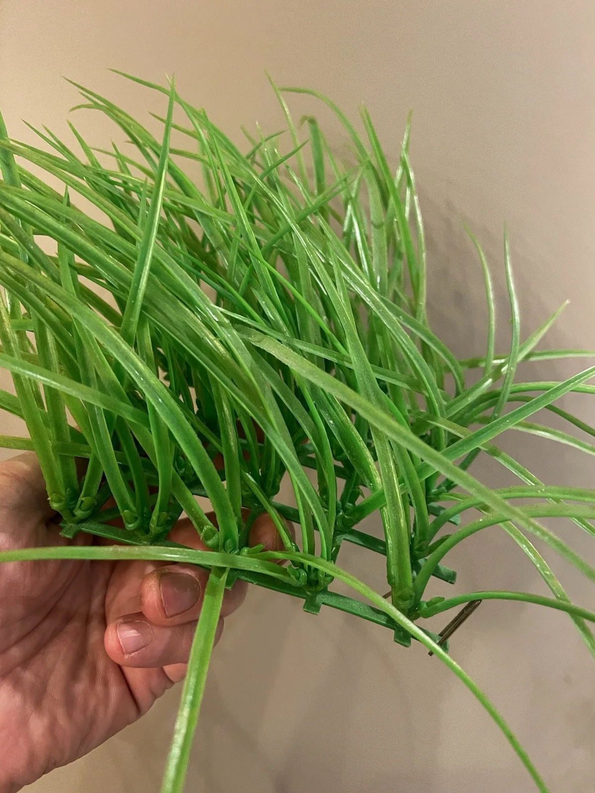 Prop Grass From The 2005 Film Charlie & The Chocolate Factory, изображение 3