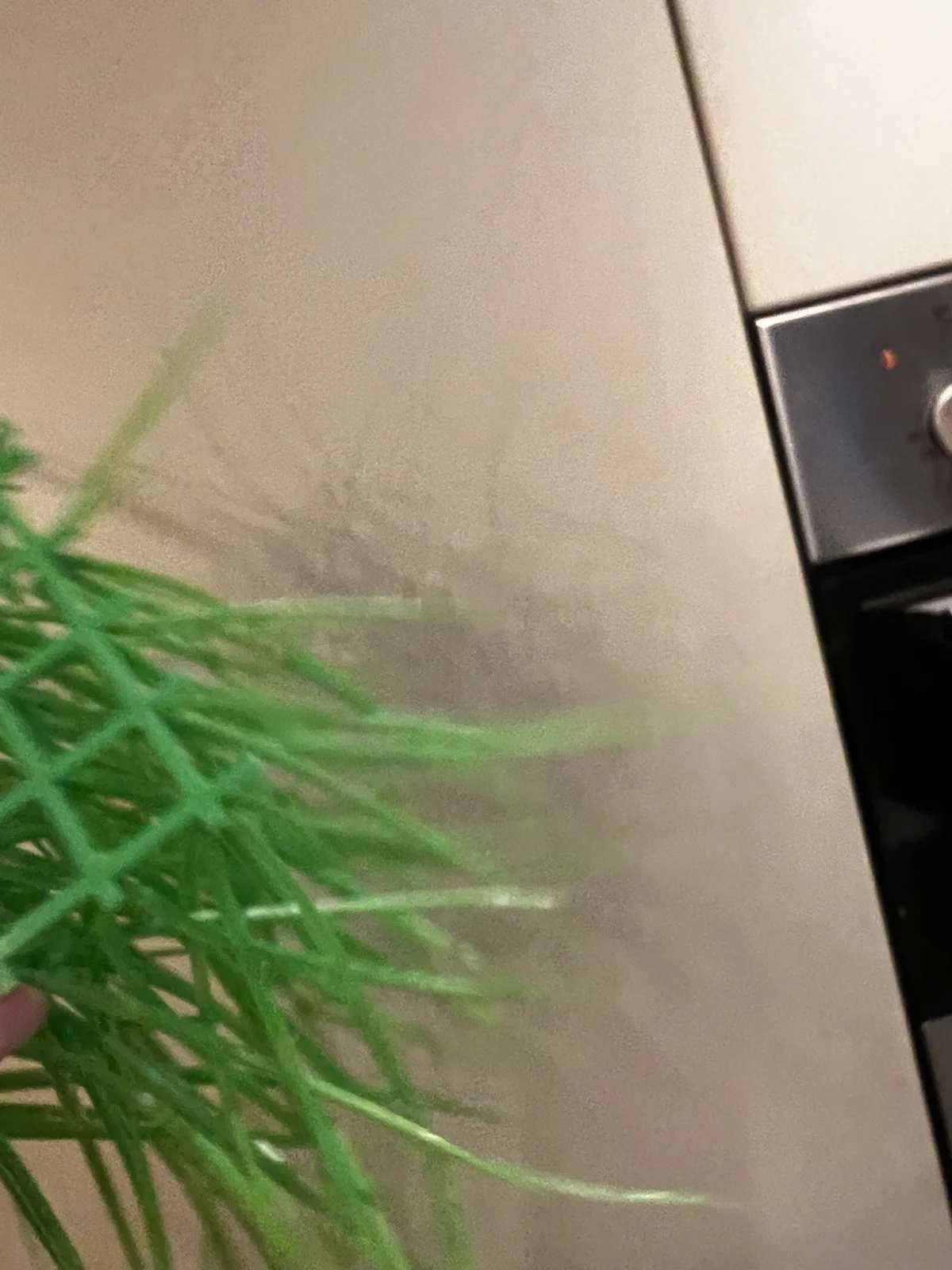 Prop Grass From The 2005 Film Charlie & The Chocolate Factory, изображение 4
