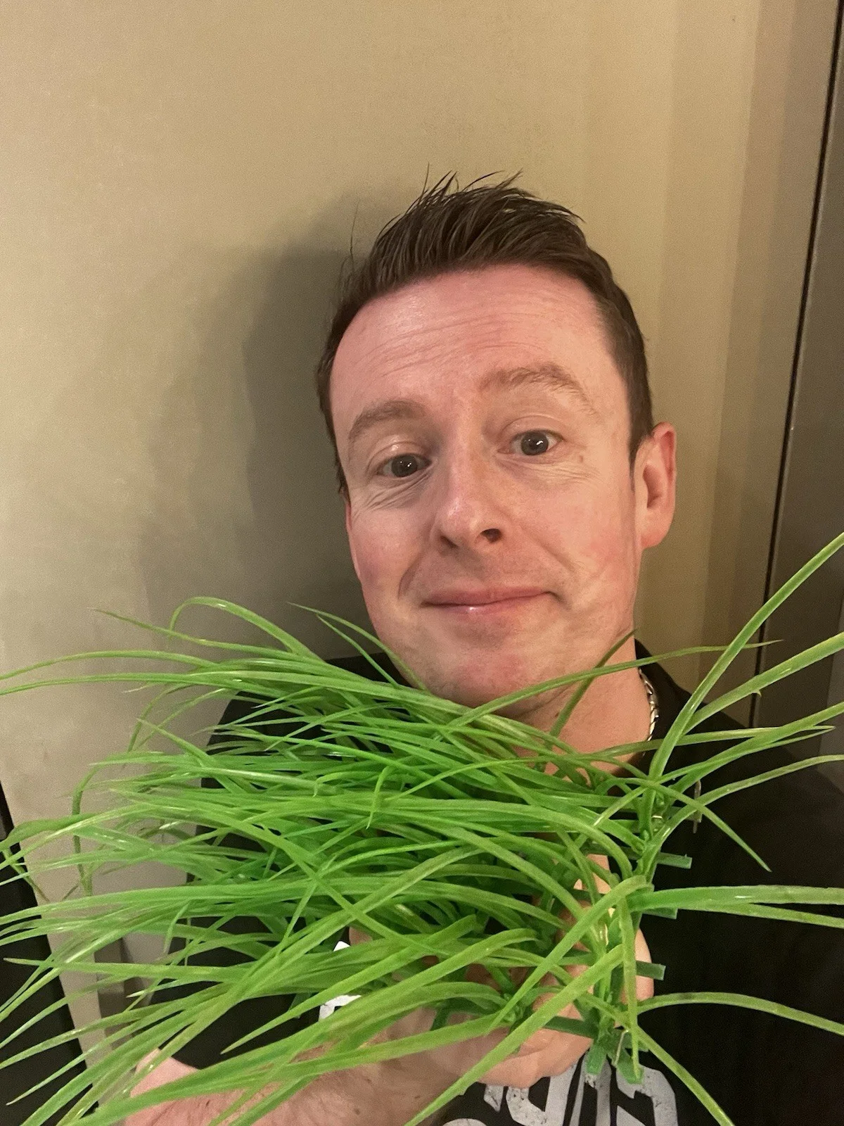 Prop Grass From The 2005 Film Charlie & The Chocolate Factory, изображение 5