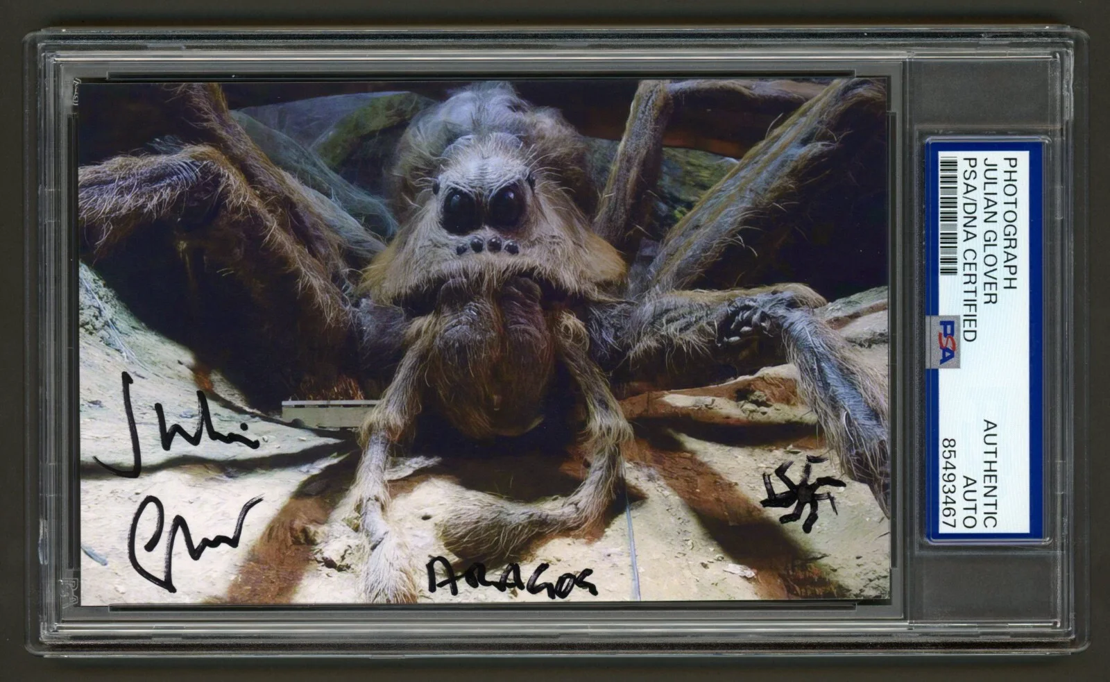 Julian Glover — Julian Glover Signed Photo (PSA) Aragog Sketch Acromantula Harry Potter Auto