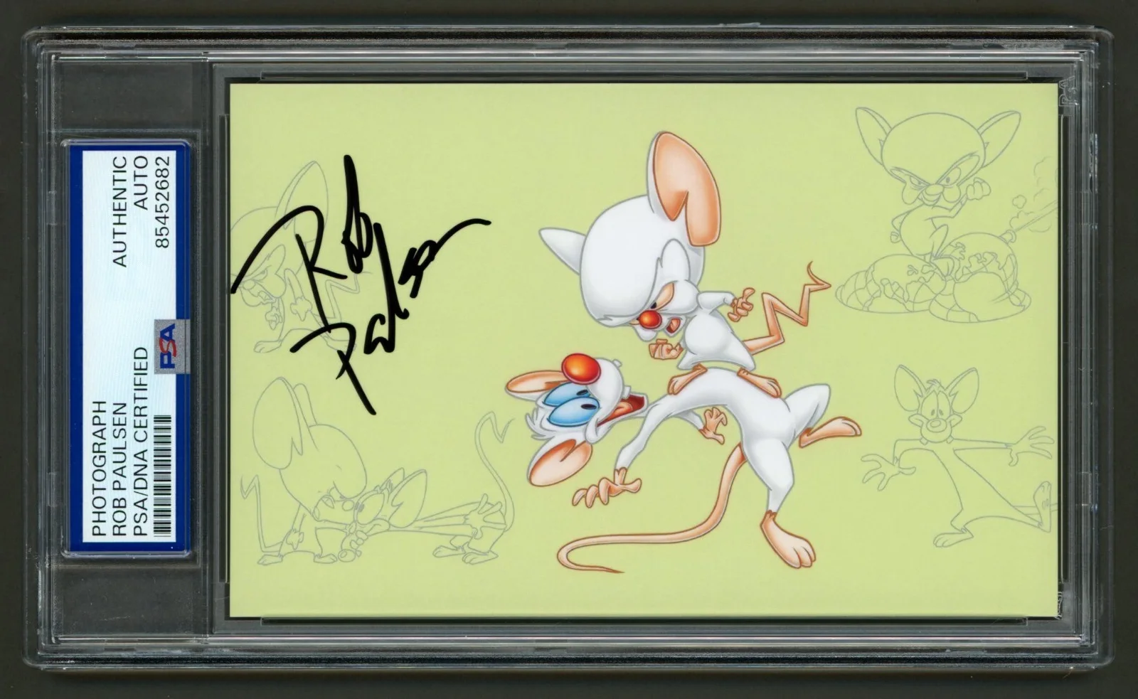 Rob Paulsen — Rob Paulsen Signed Photo (PSA) Pinky and the Brain Voice Actor Auto