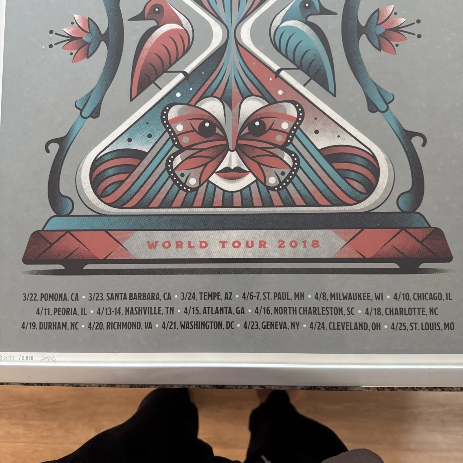 The Decemberists 2018 VIP Tour Poster Your Girl Your Ghost Framed, image 4