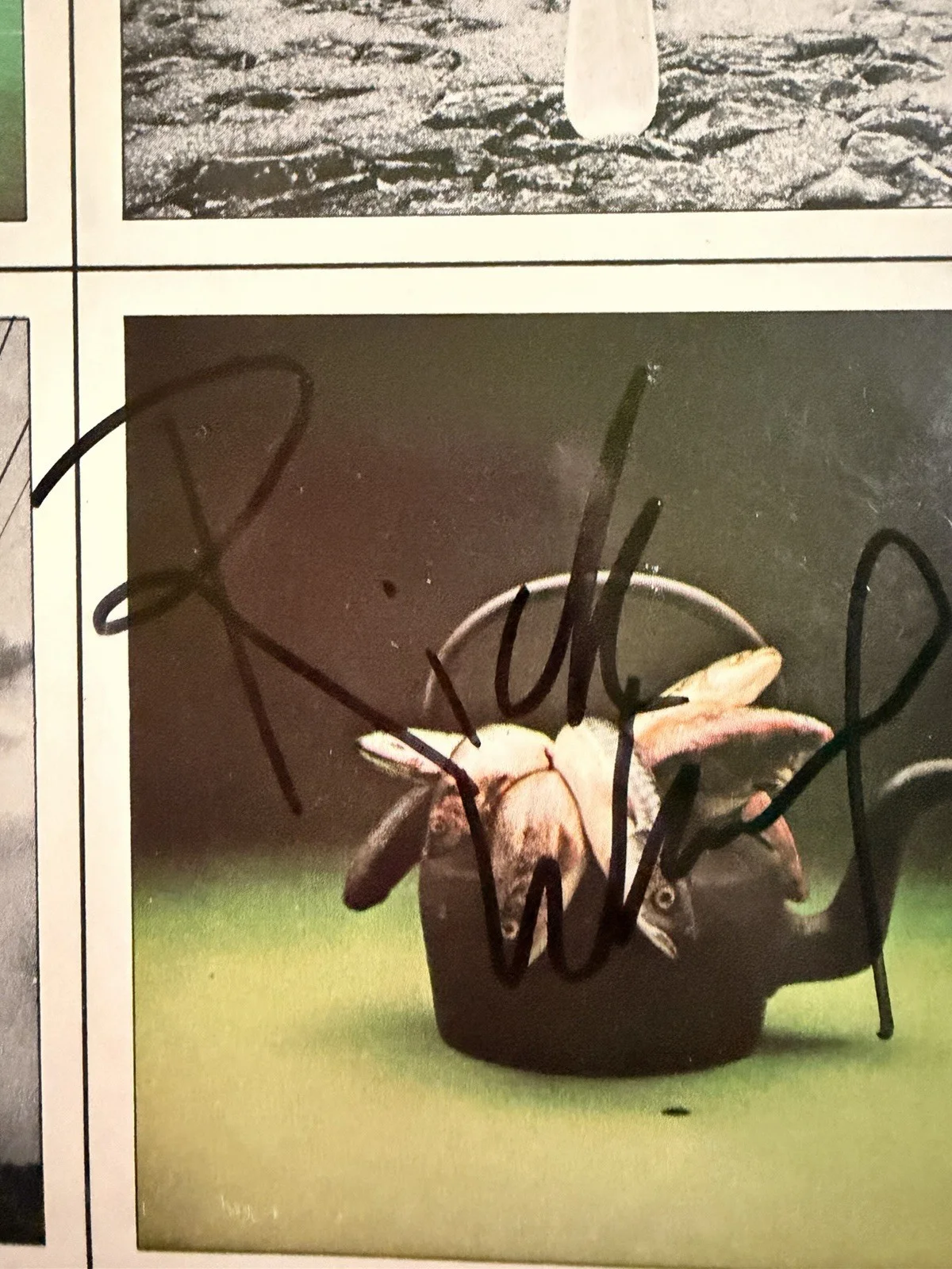 Pink Floyd Original Members Autographed Vinyl NO COA, image 5
