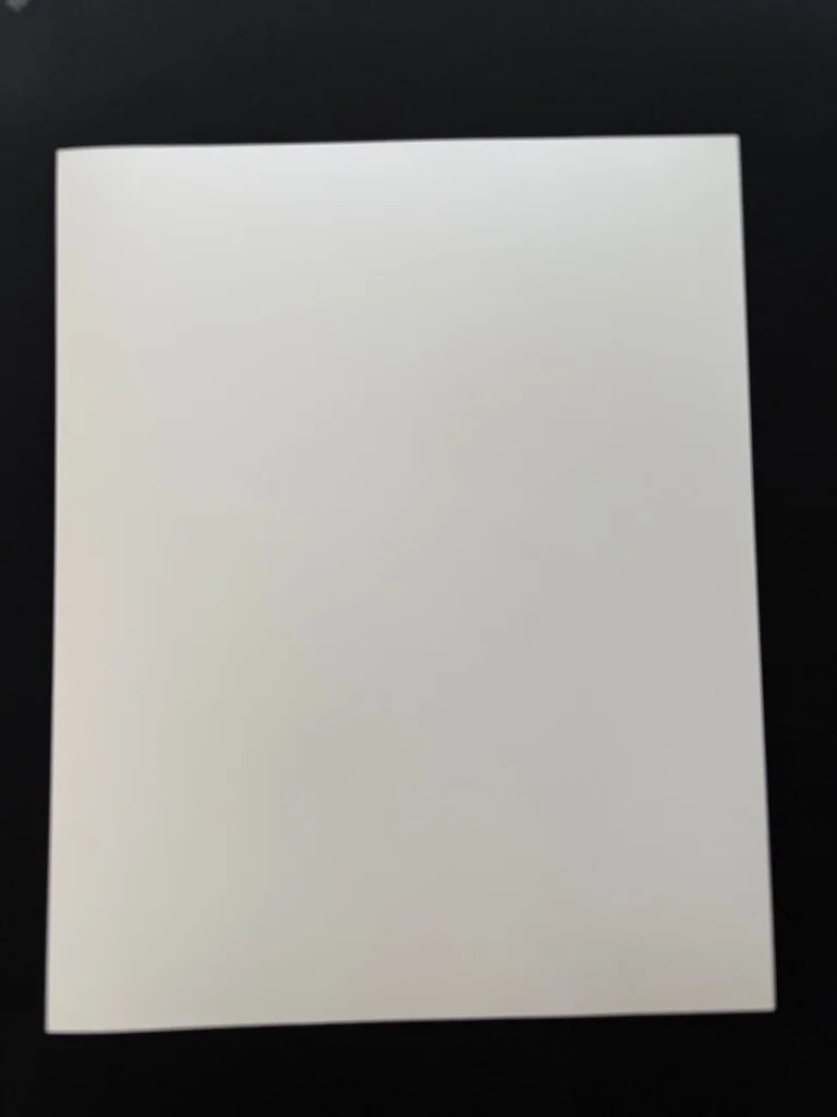 RARE A4 1987 Fatal Attraction B/W Press Scene Print (Michael Douglas), изображение 2