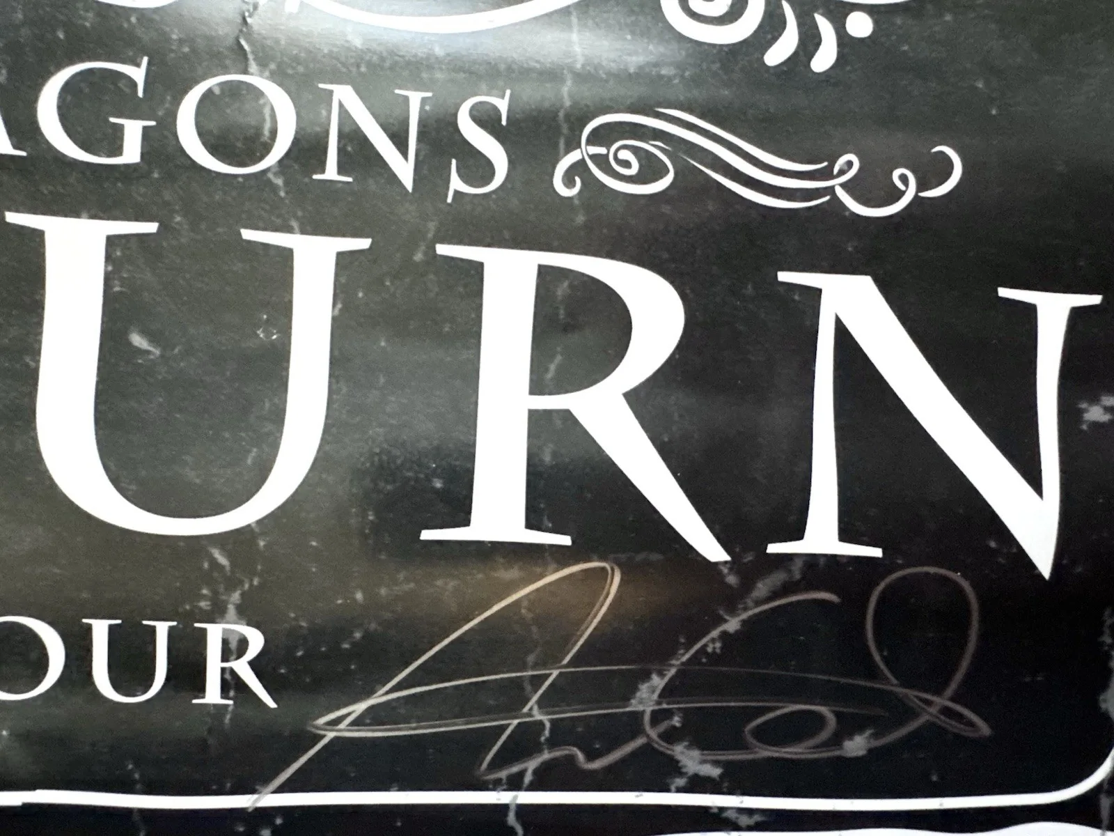 SIGNED Within Temptation Hydra 2014 USA Tour Poster Let Us Burn Sharon Den Adel, image 3