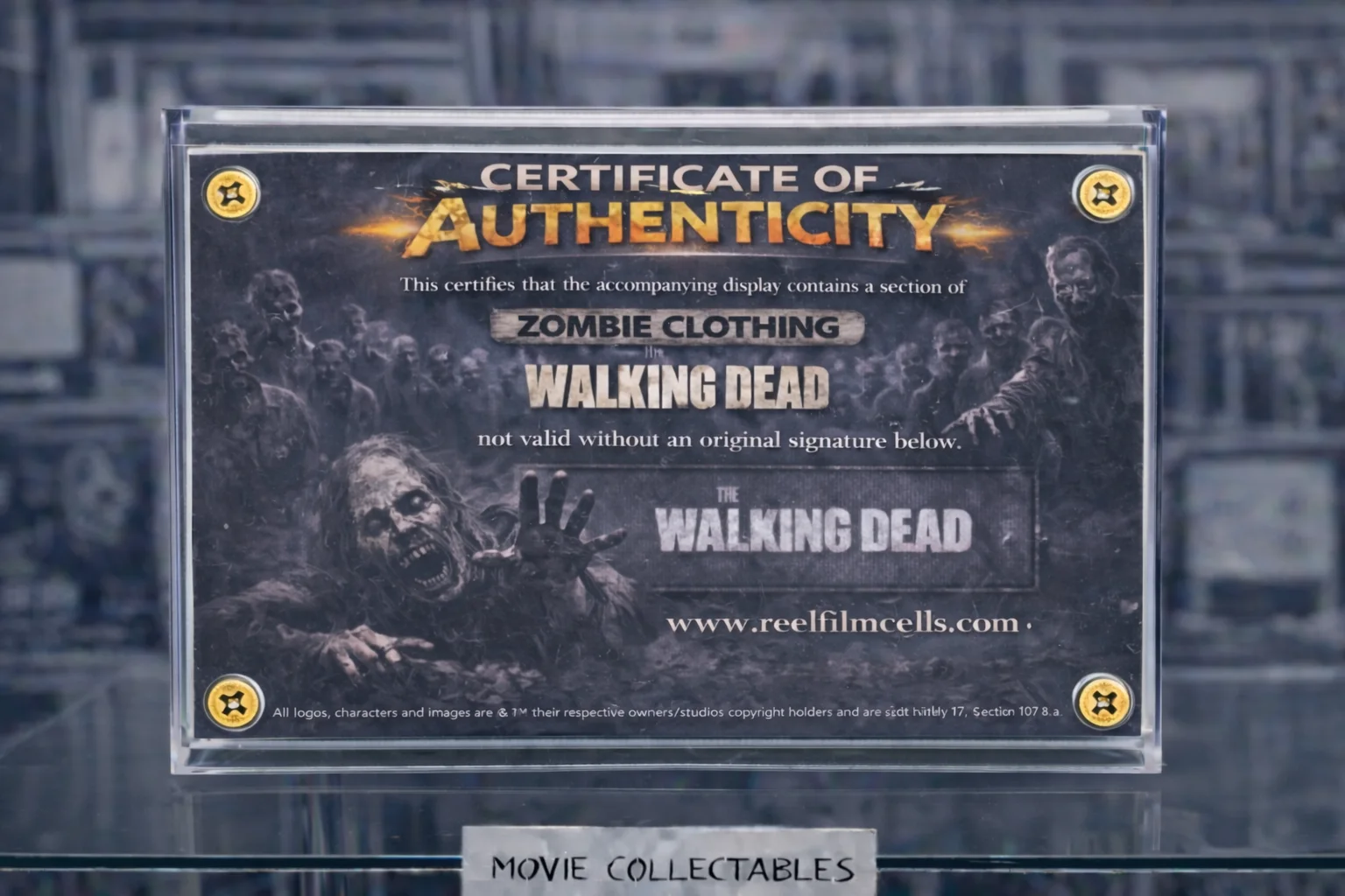 Screen-Used Zombie Clothing Fragment – The Walking Dead Prop Display With COA, изображение 2