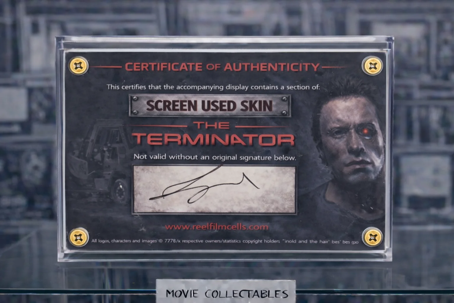 Screen-Used Terminator Skin Fragment The Terminator Movie Prop Display With COA, изображение 2
