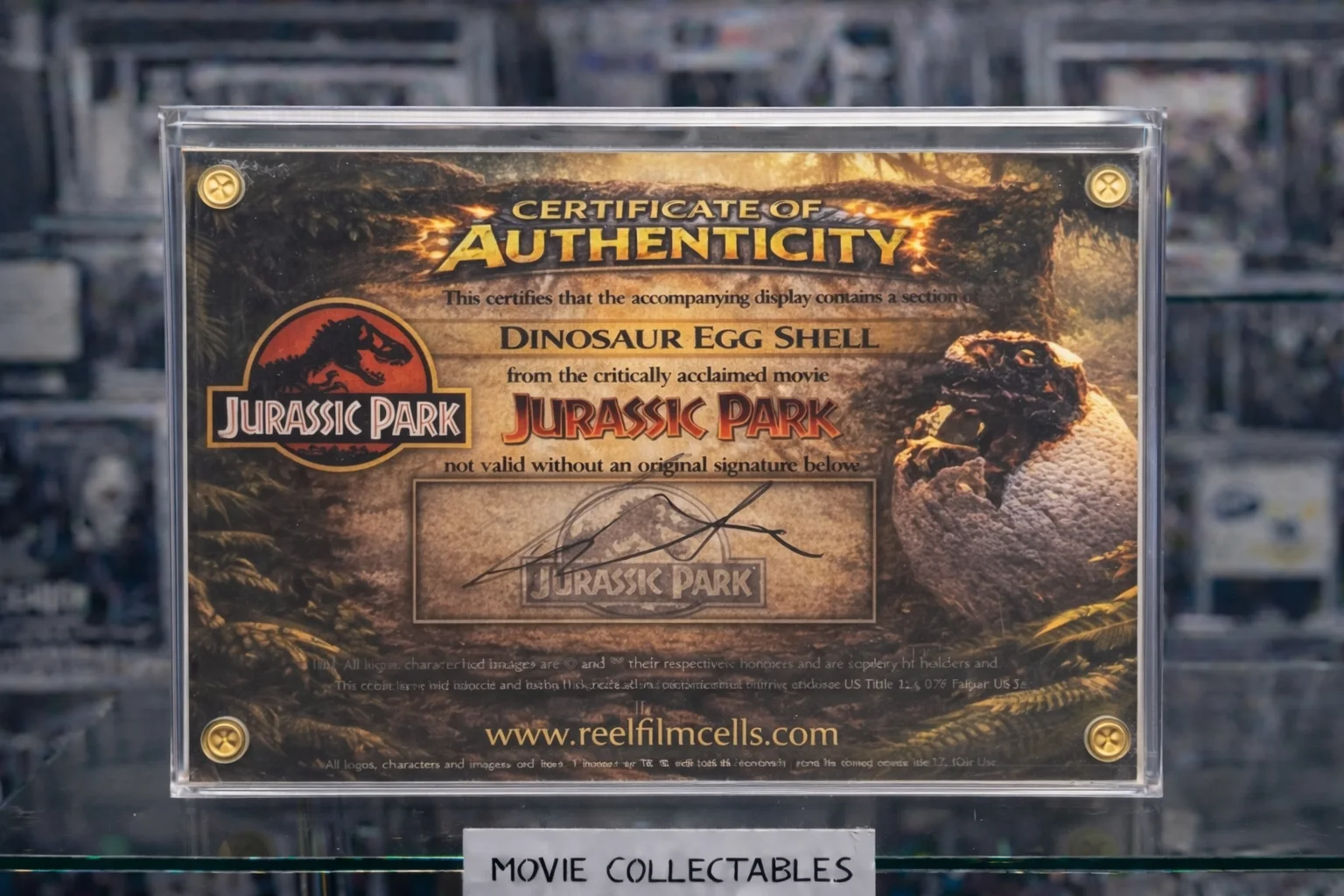 Screen-Used Jurassic Park Egg Fragment – Movie Prop Relic Display – With COA, image 2