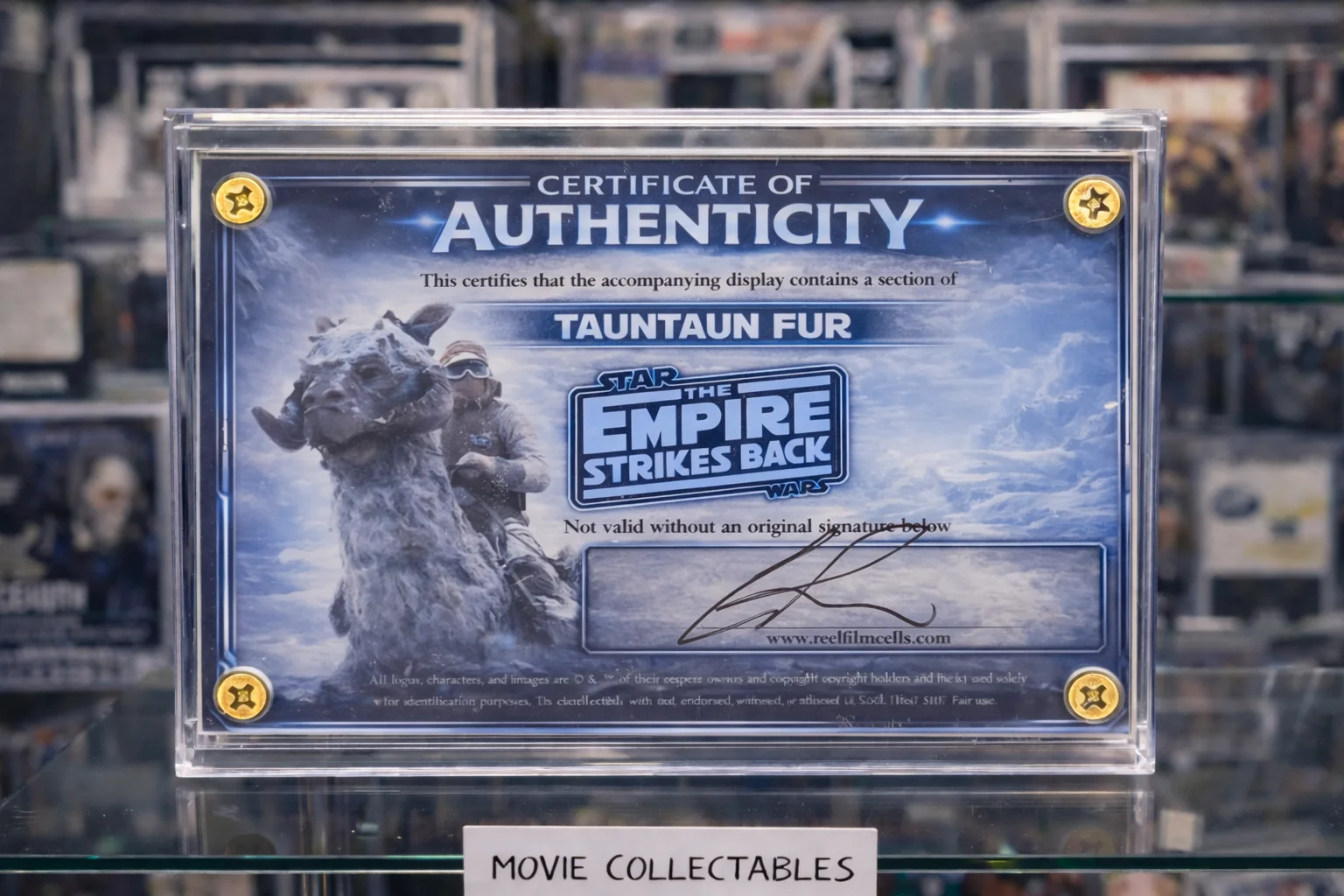 Screen-Used Tauntaun Fur Fragment – Star Wars The Empire Strikes Back Movie Prop, изображение 2