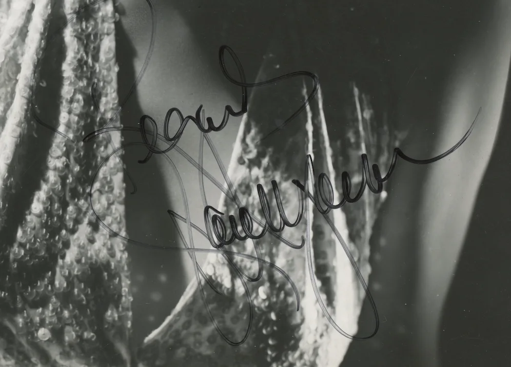 Jane Wyman Johnny Belinda Autographed Signed 8x10 Photo AMCo COA 28348, изображение 2