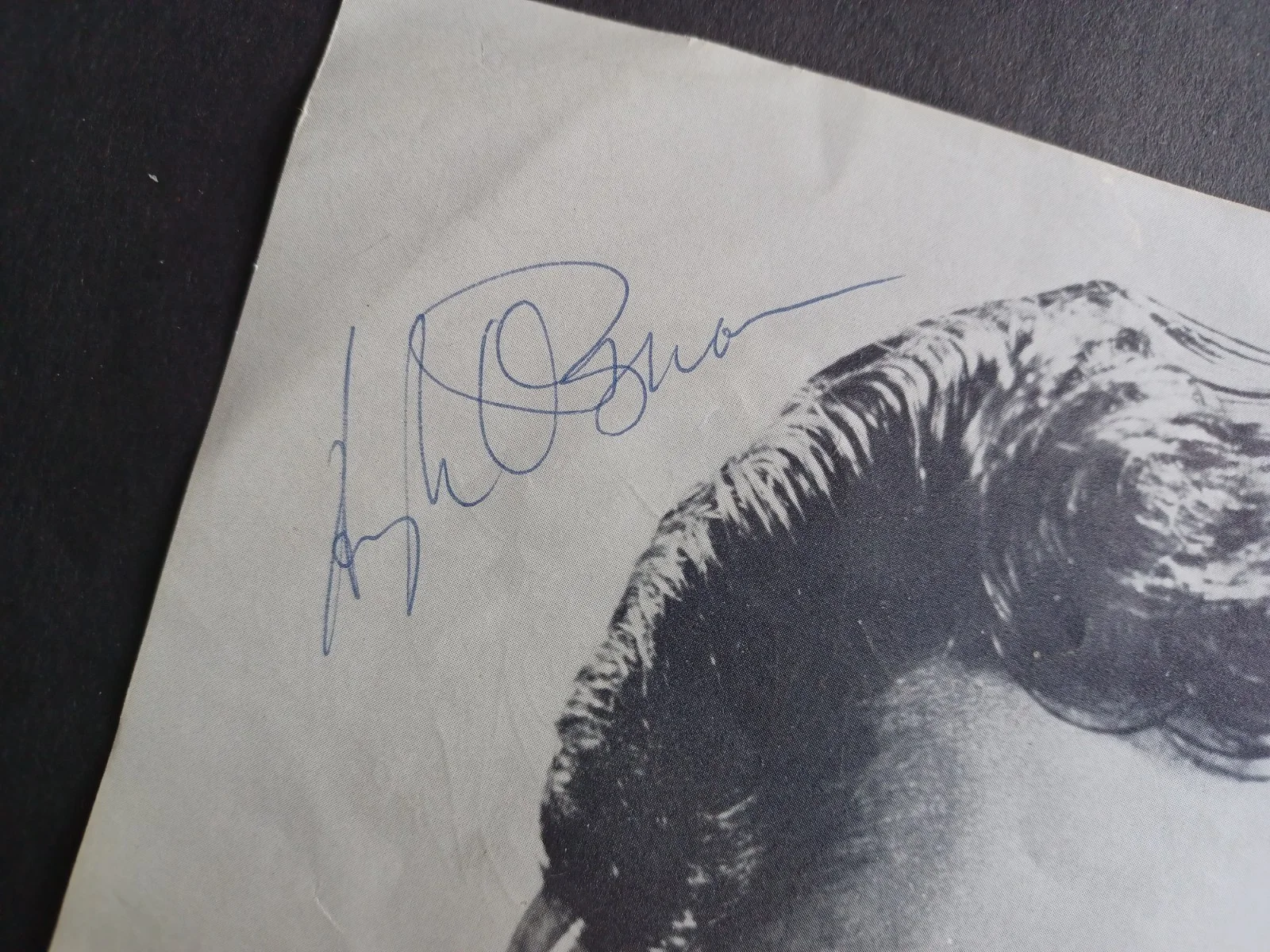 Hugh O'Brian (d. 2016) Signed 8.5" x 11" Photo - The Shootist, Wyatt Earp, изображение 2
