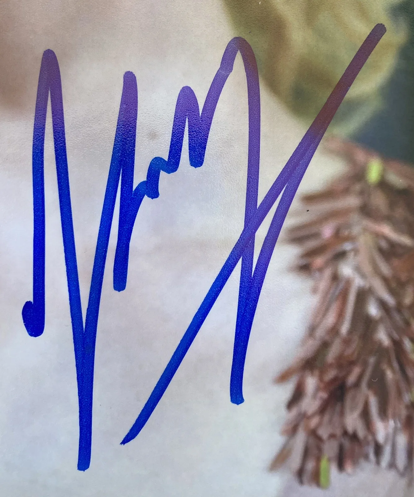 Lucy Fry — Vampire Academy Lucy Fry Signed Autograph 8x10 Photo - JSA Cert - FREE S&H!, image 3