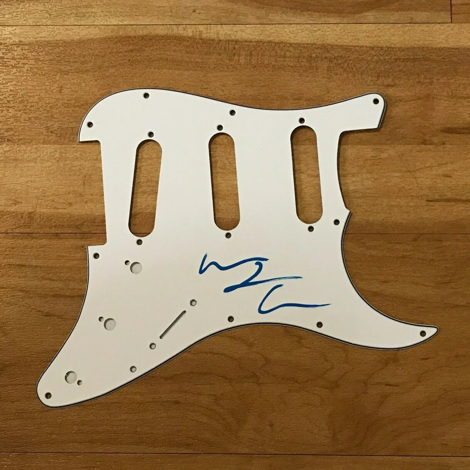 Laura Jane Grace — Signed Laura Jane Grace Stratocaster Pickguard w/ Proof (Against Me! Autograph), изображение 2