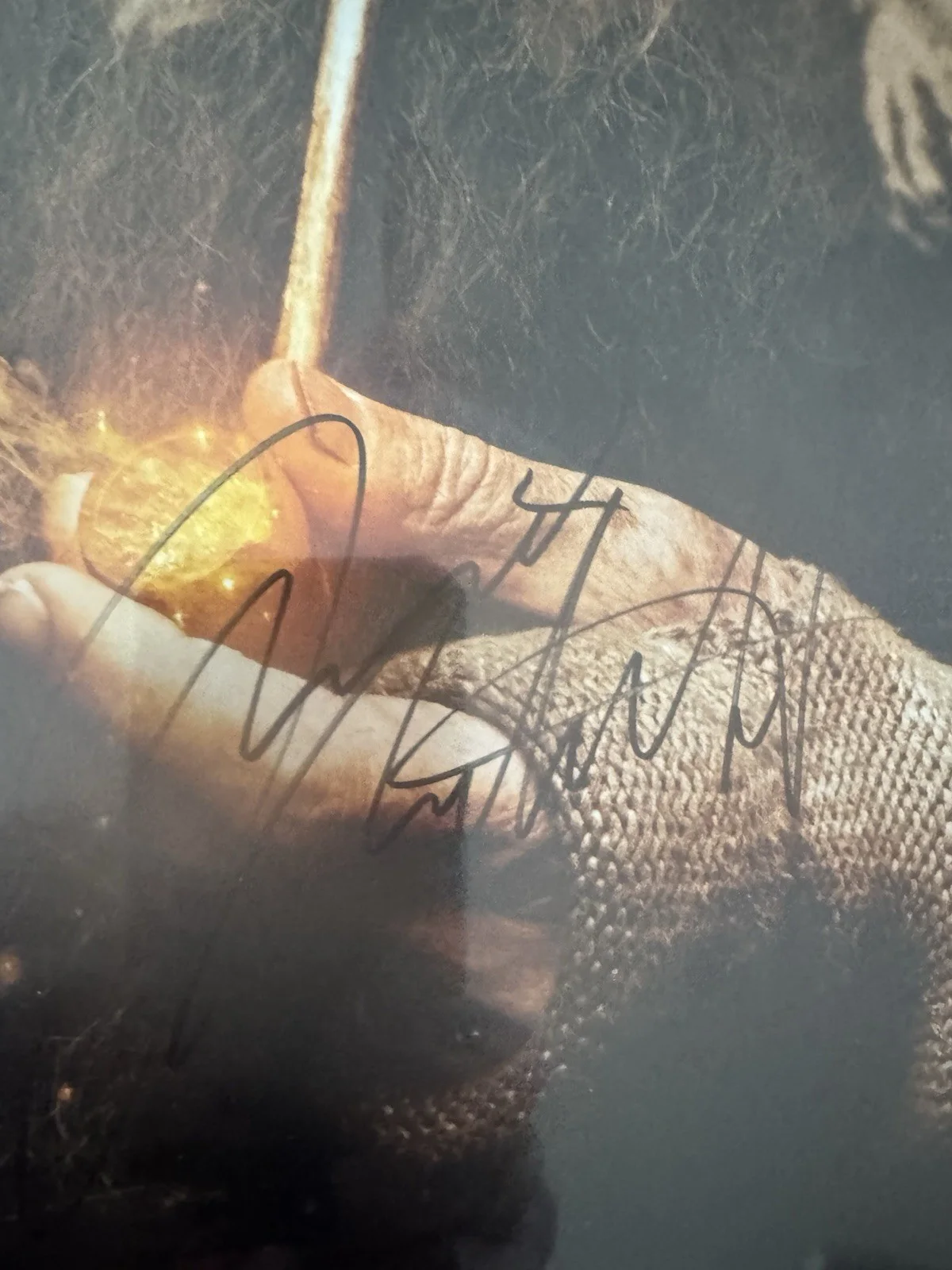 Director Peter Jackson — The Hobbit World Premier Poster RARE VHF Warner Brothers Hologram 28 Sig COA #16, изображение 5