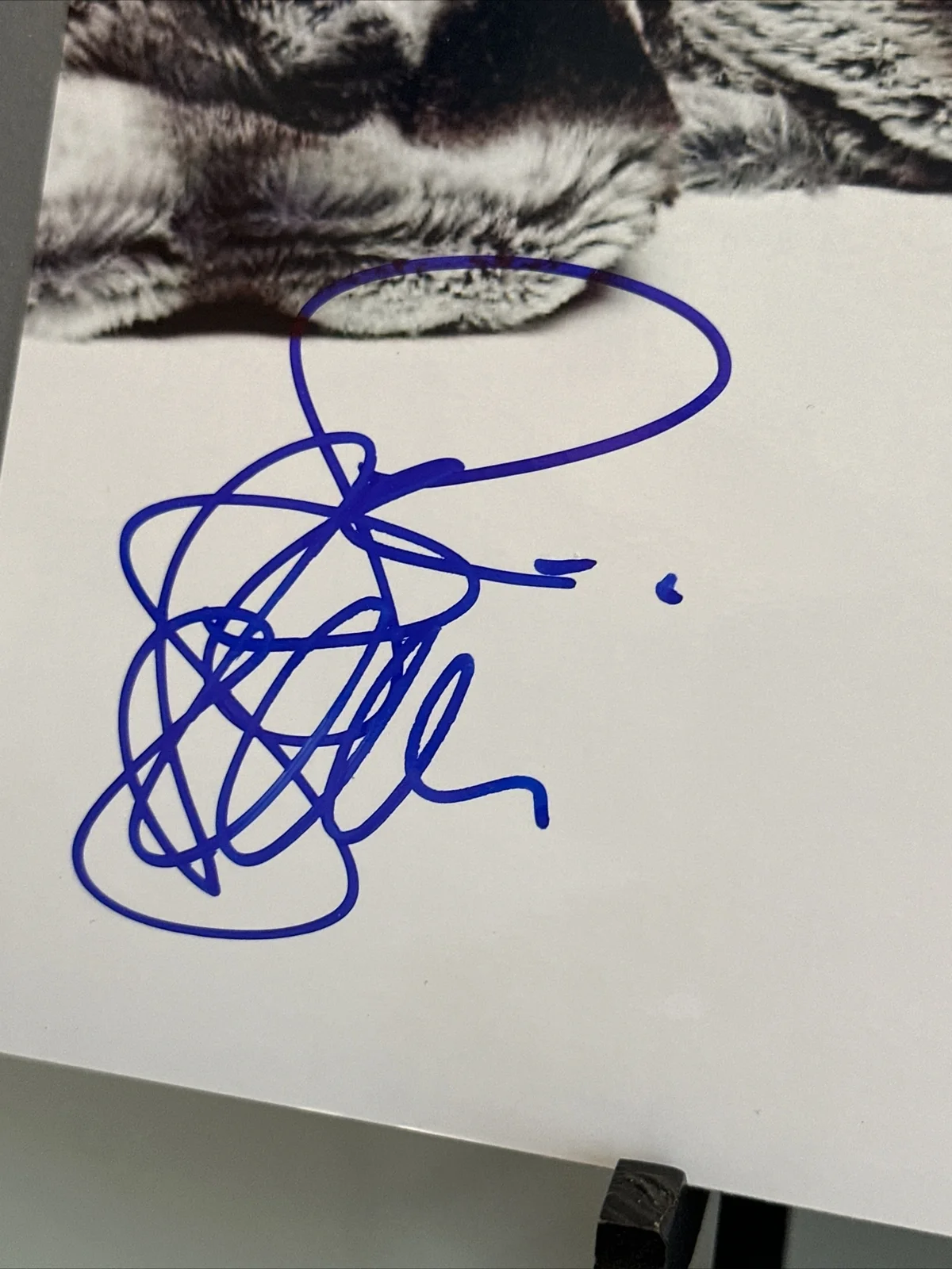 leah remini signed autograph 8x10 photo king of queens Scientology rare sexy., изображение 2