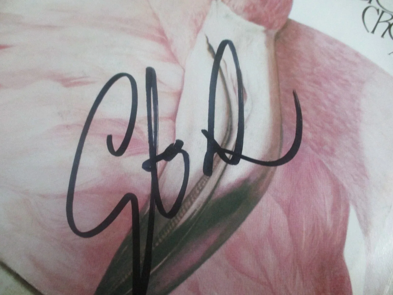 CHRISTOPHER CROSS AUTHENTIC SIGNED/AUTOGRAPHED VINYL 45 RECORD-JSA CERTIFIED, image 2