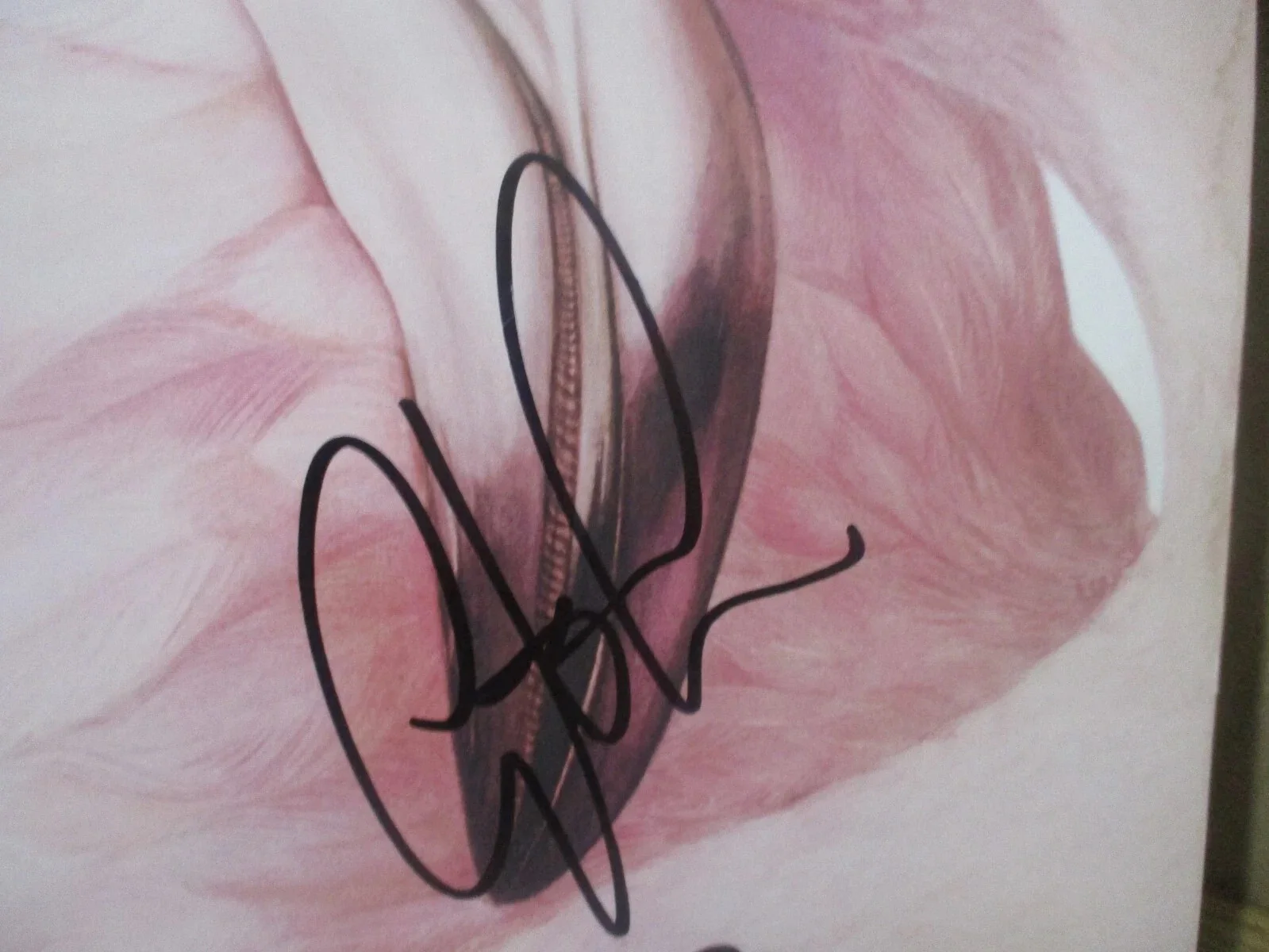 CHRISTOPHER CROSS AUTHENTIC SIGNED/AUTOGRAPHED VINYL RECORD ALBUM-JSA CERTIFIED, image 2