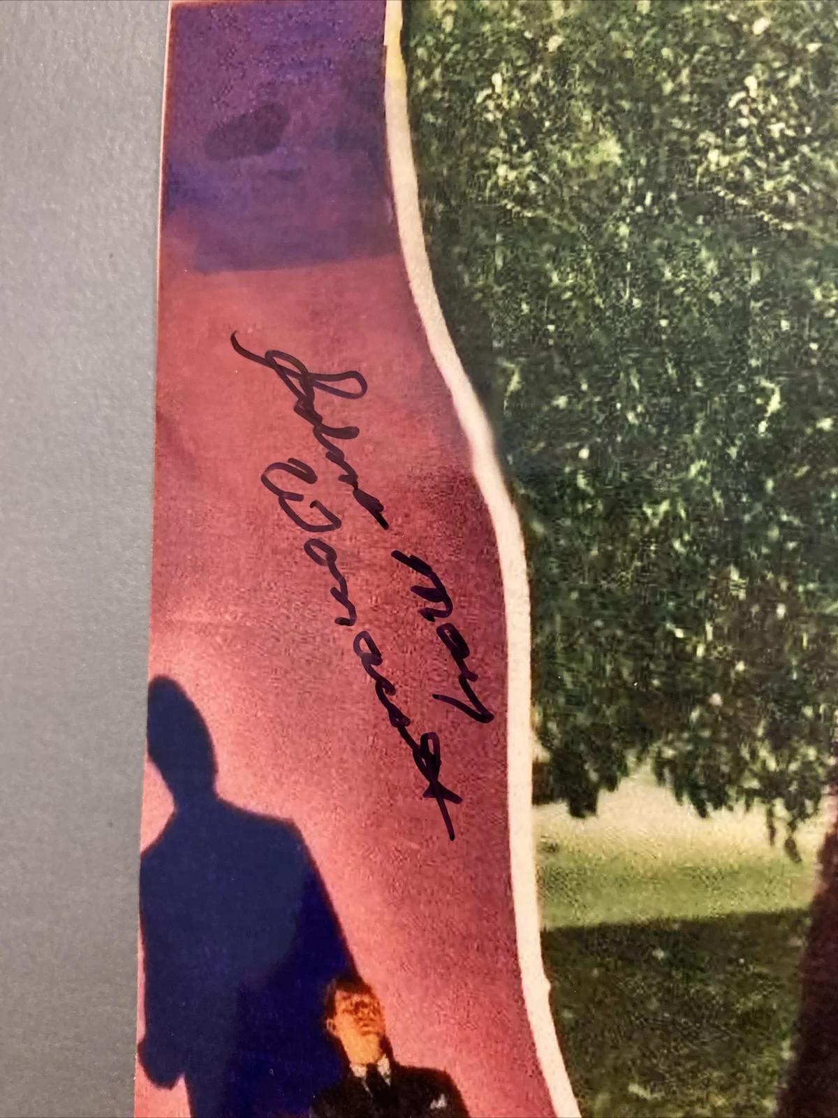 Edna May Wonacott Signed Autograph 8x10 Photo Alfred Hitchcock Shadow Of Doubt, image 2