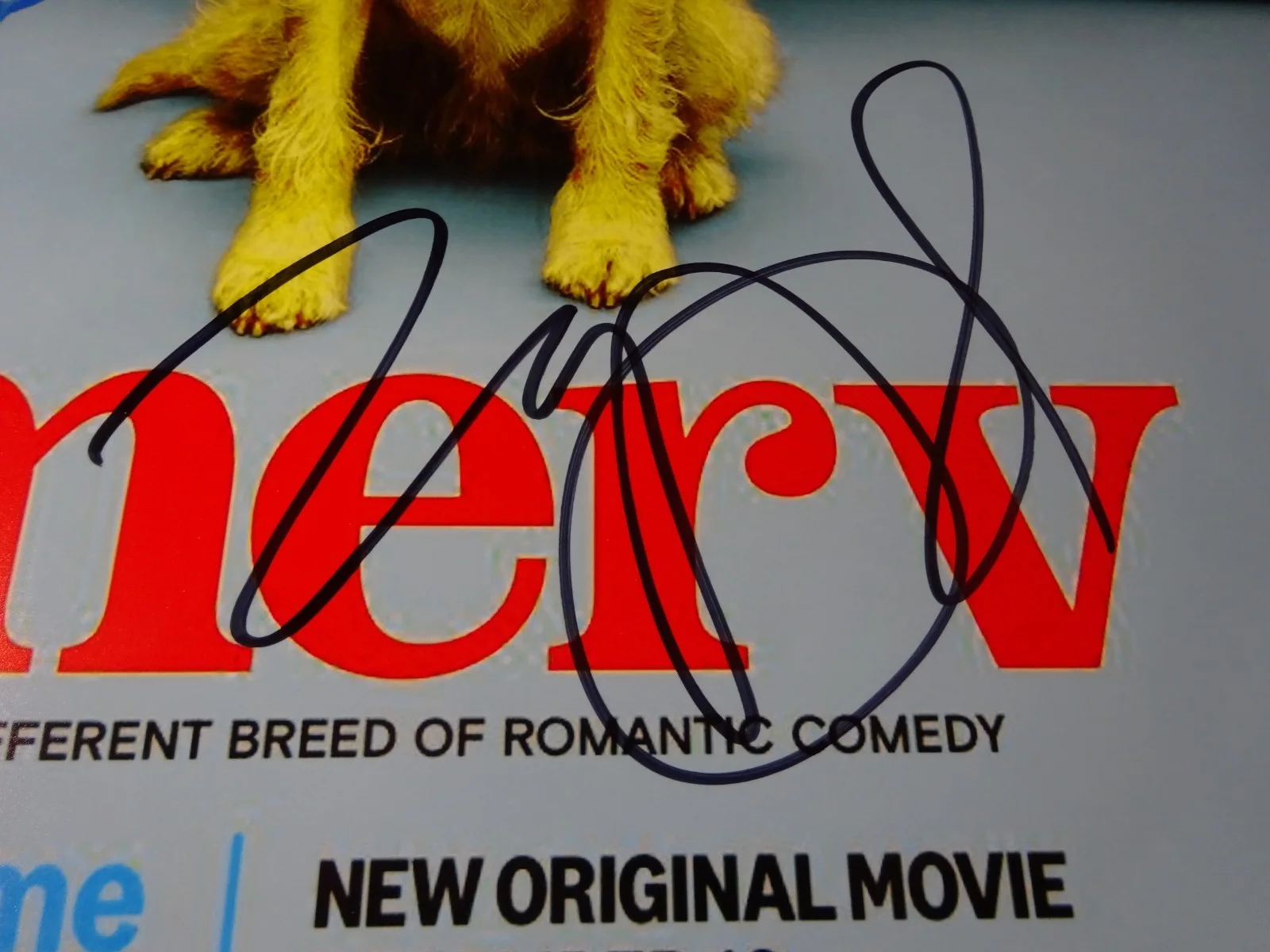 Charlie Cox, Zooey Deschanel — Signed Charlie Cox & Zooey Deschanel 12"x18" Merv Photo Beckett BAS COA, изображение 4
