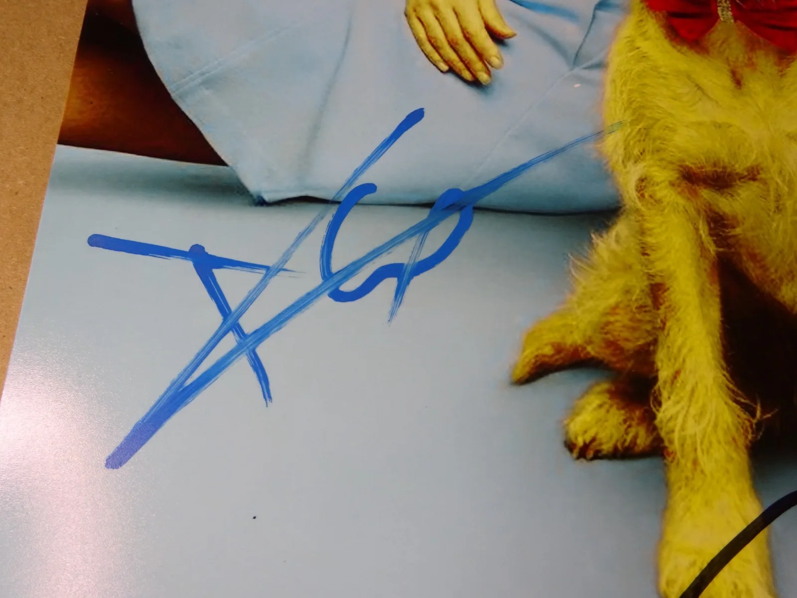 Charlie Cox, Zooey Deschanel — Signed Charlie Cox & Zooey Deschanel 12"x18" Merv Photo Beckett BAS COA, изображение 5