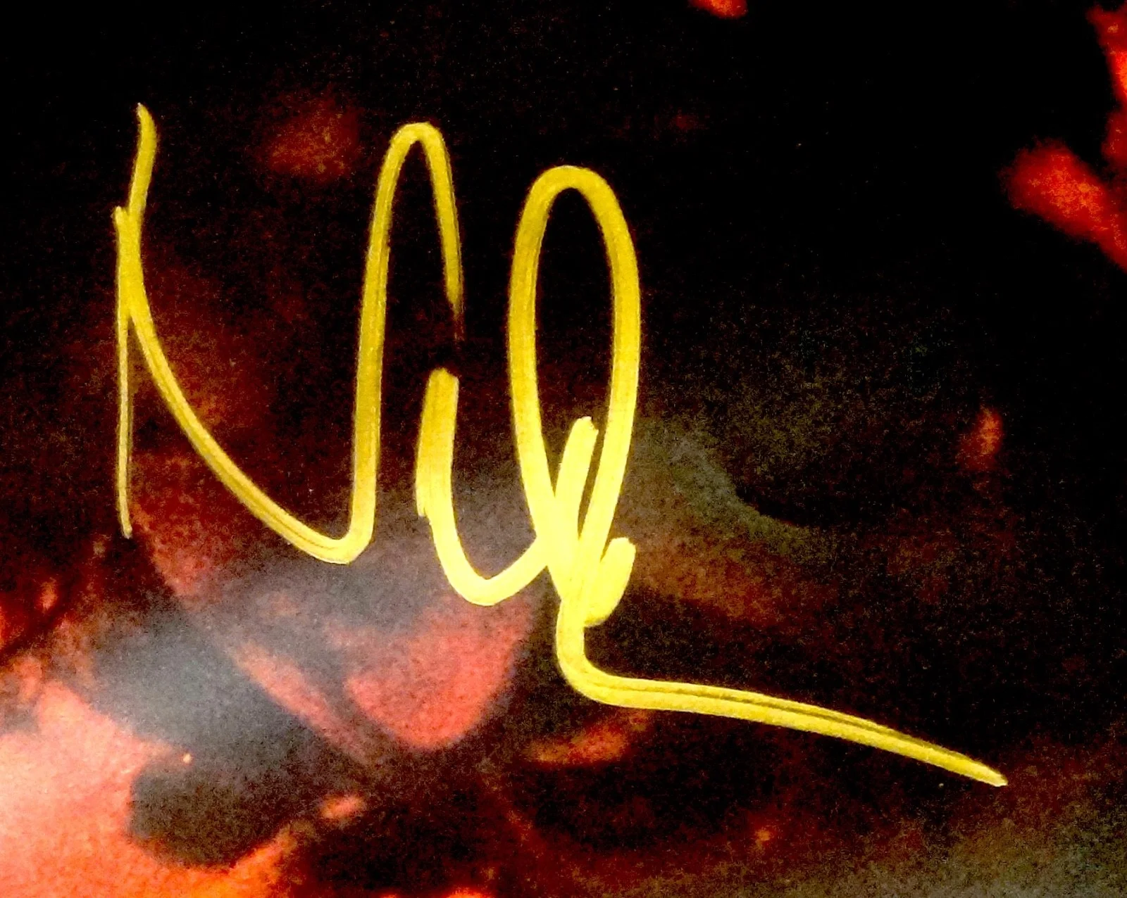 PINK FLOYD NICK MASON HAND SIGNED AUTOGRAPHED DARK SIDE MOON ALBUM POSTER INSERT, image 2