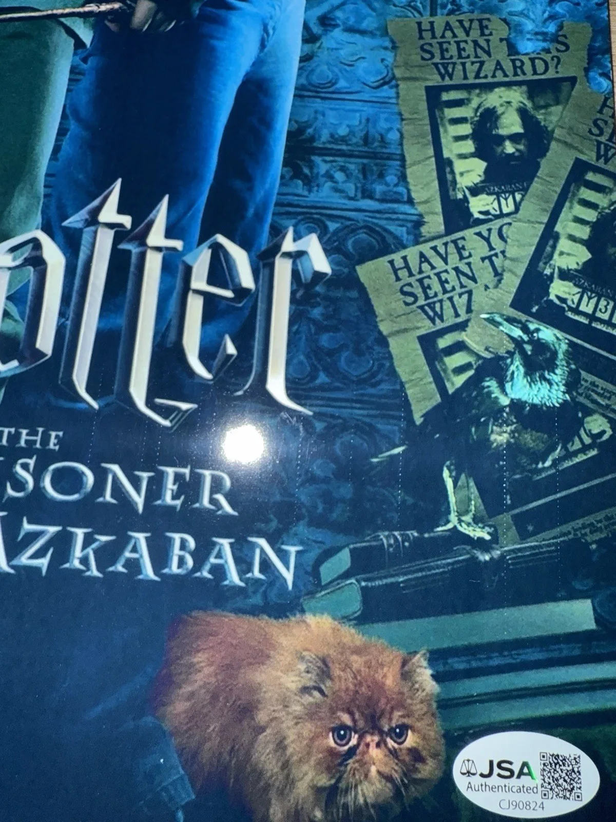Daniel Radcliffe — DANIEL RADCLIFFE SIGNED AUTOGRAPHED HARRY POTTER PRISONER AZKABAN 12x18 PIC JSA, image 4