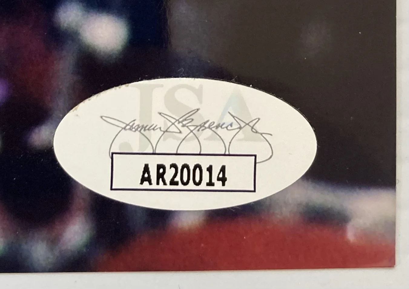 Singer Actress Willa Ford Signed Autograph 8x10 Photo - JSA Cert - FREE S&H!, изображение 4